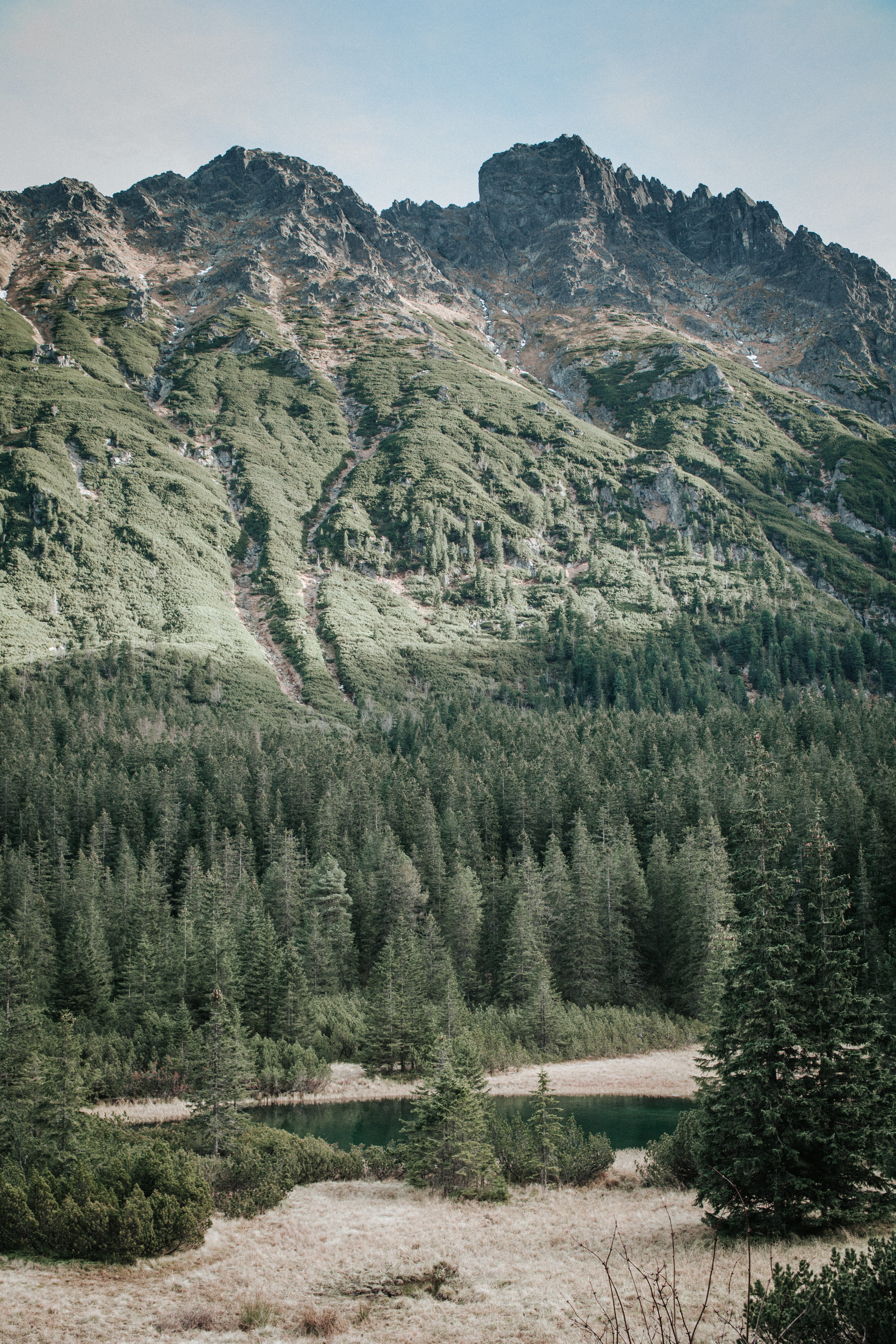 environment, malopolska, tranquil scene, poland, spruce, conifer, formation, landscape, green color, beauty in nature, zakopane, travel, morskie oko, outdoors, Phone HD Wallpaper