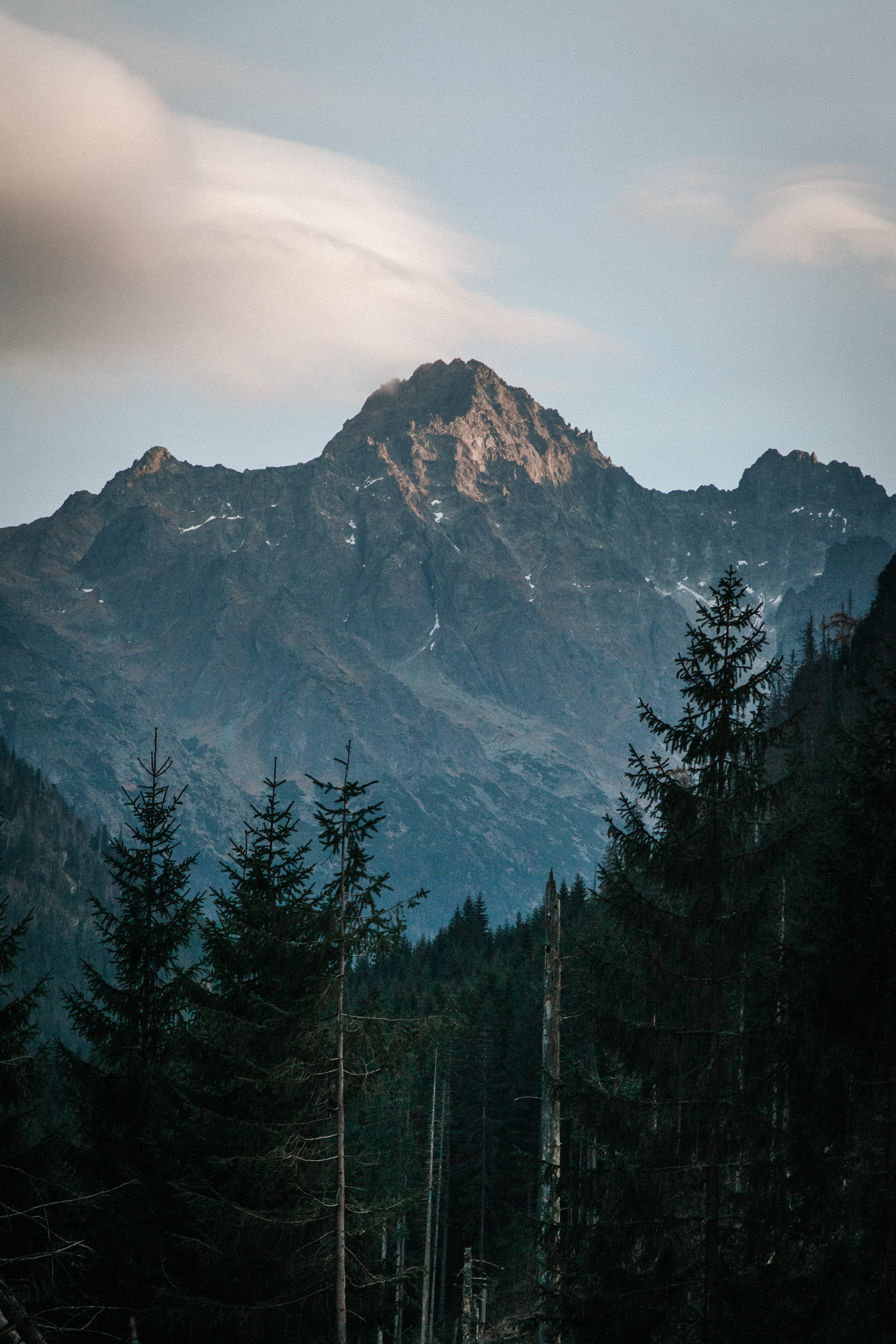cloudy, pine tree, scenics - nature, mountain range, photography, conifer, mountain, peak, forest, tree, coniferous tree, poland, cloud - sky, land, growth, Phone HD Wallpaper