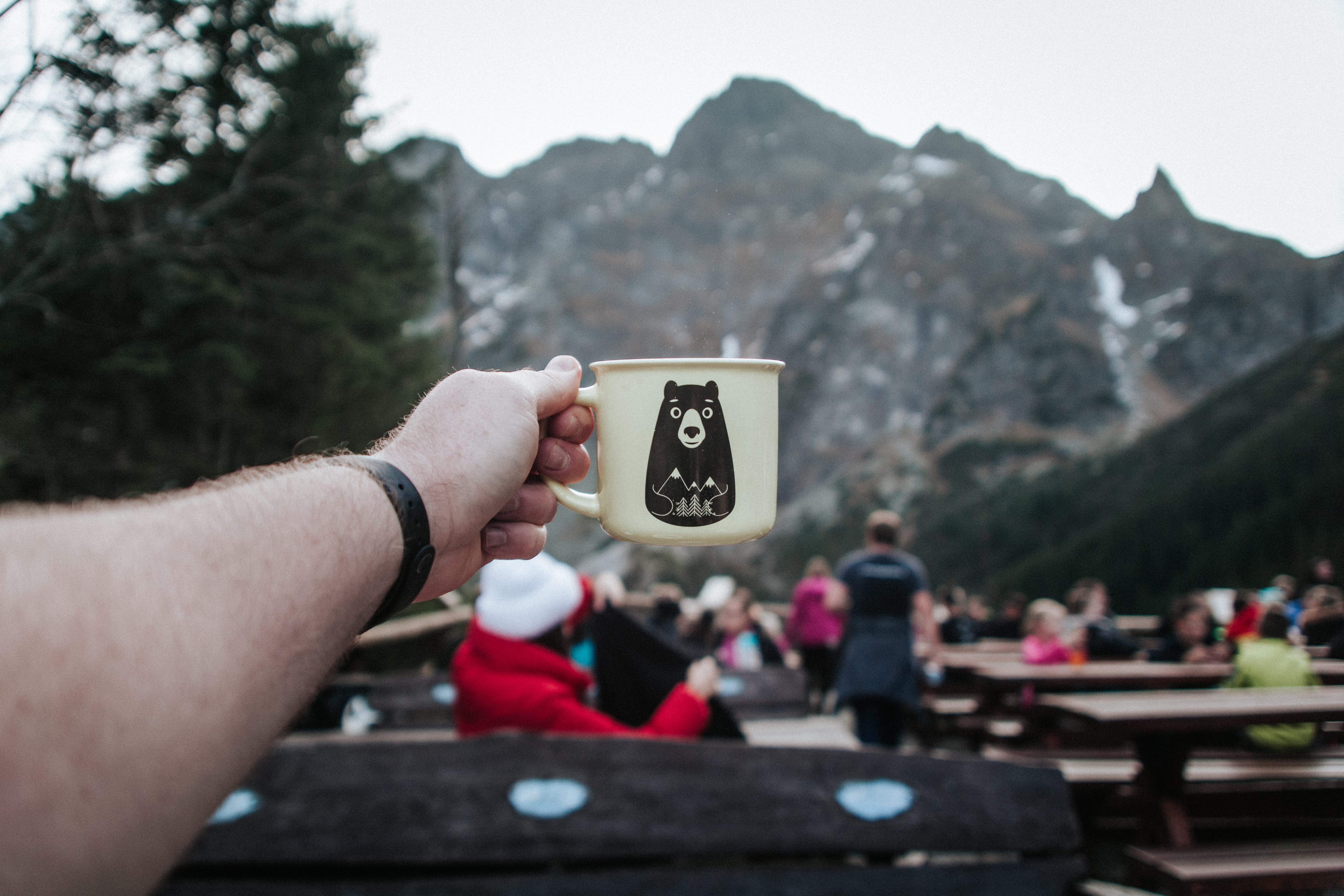 adult, man, 5K, nature, focus on foreground, hand, sky, day, human body part, morskie oko, poland, mug, photography themes, white, technology, arms raised, HD Wallpaper