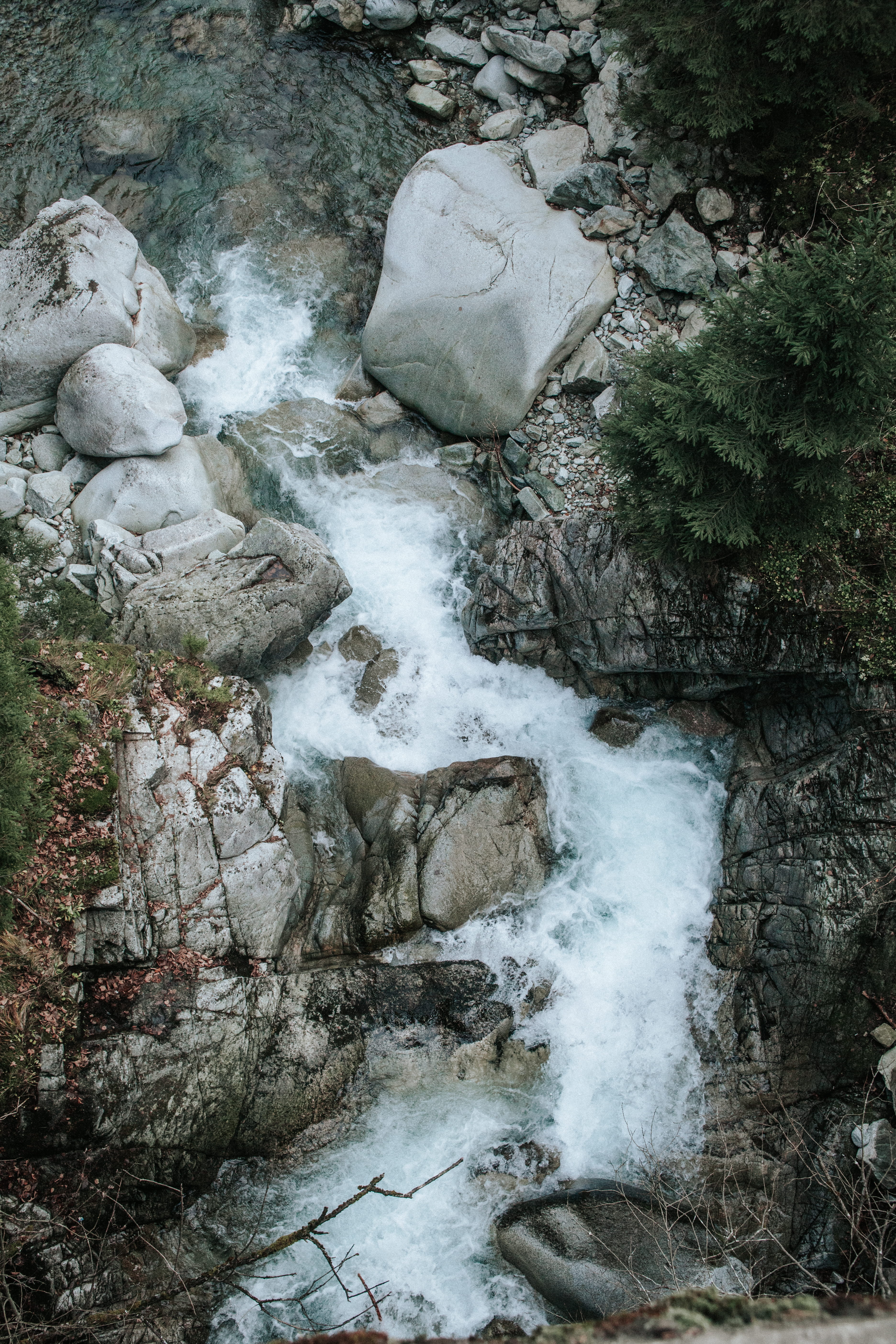 formations, nature, poland, plant, non-urban scene, rock, power in nature, environment, water, no people, body, day, growth, malopolskie, beauty in nature, Phone HD Wallpaper