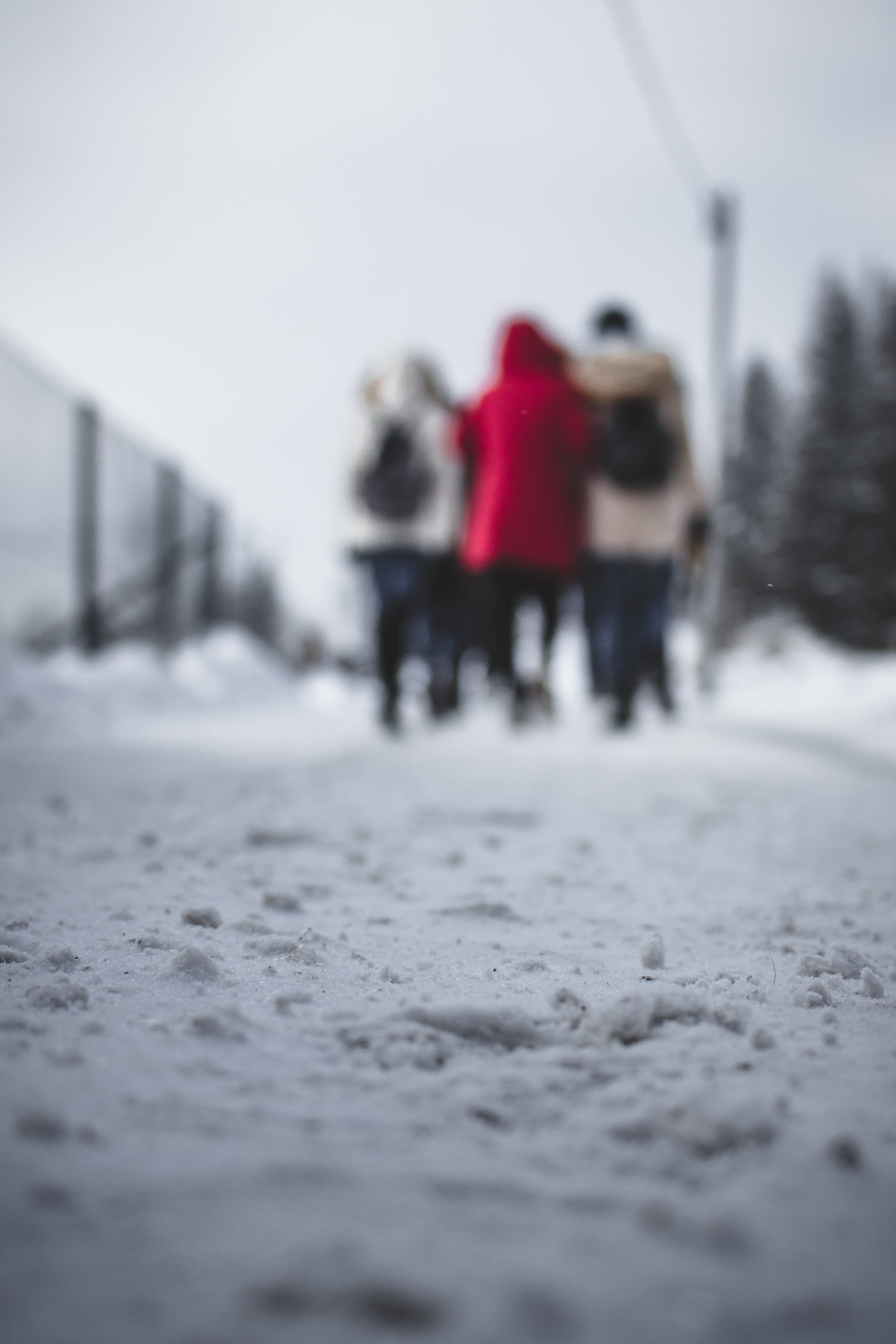 cold temperature, poland, 4K, real people, day, snow, zakopane, red jacket, walking, group of people, bokeh, red, adult, nature, people, selective focus, Phone HD Wallpaper