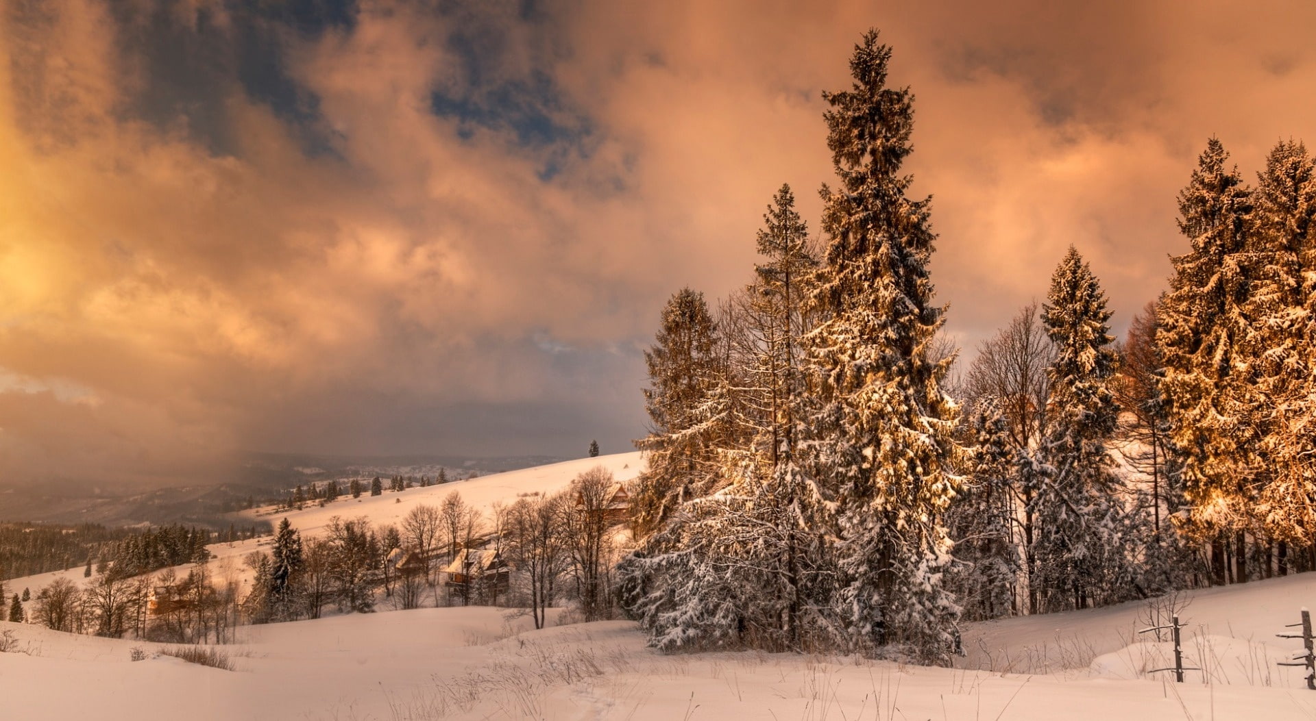 environment, landscape, plant, sky, frozen, tranquility, no people, land, coniferous tree, trees, cloud - sky, green, poland, non-urban scene, leafed, snowcapped mountain, HD Wallpaper