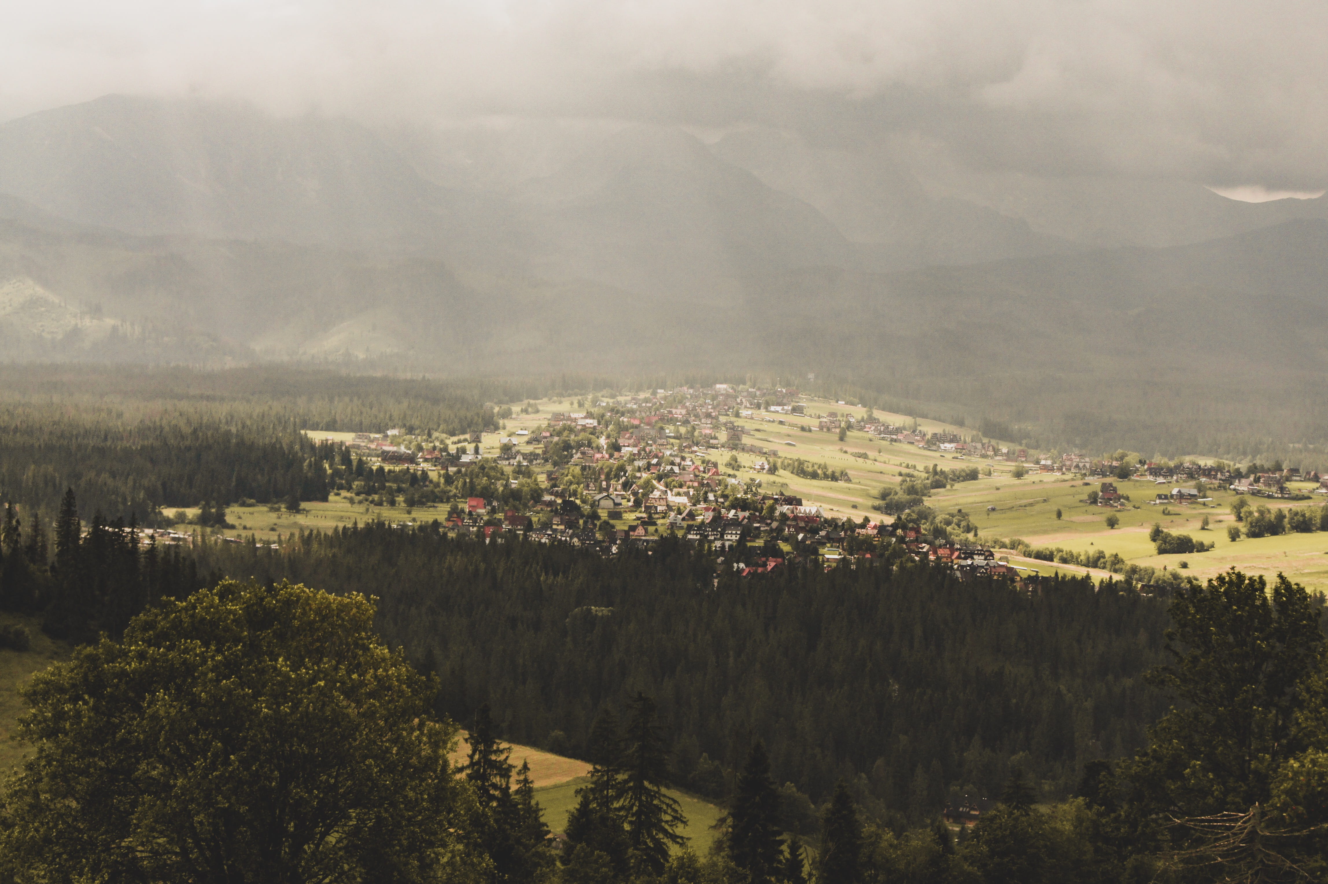 high angle view, mountain range, environment, tranquil scene, urban, plant, no people, mountain, growth, poland, 4K, landscape, land, day, tranquility, HD Wallpaper