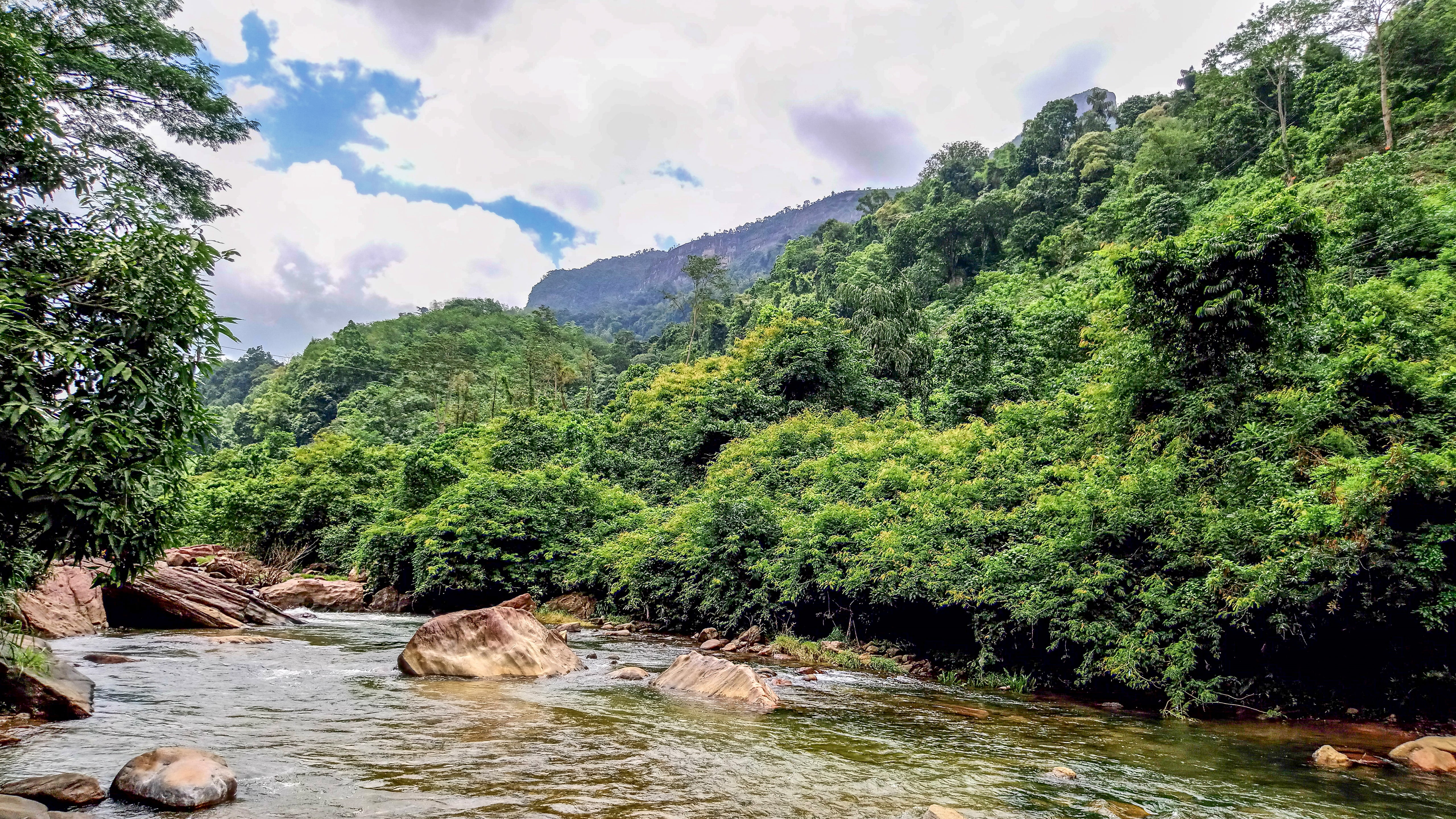flowing water, plant, we oya, non-urban scene, cloud - sky, land, day, nature, no people, forest, sri lanka, water, tranquility, tree, yatiyanthota, sky, HD Wallpaper