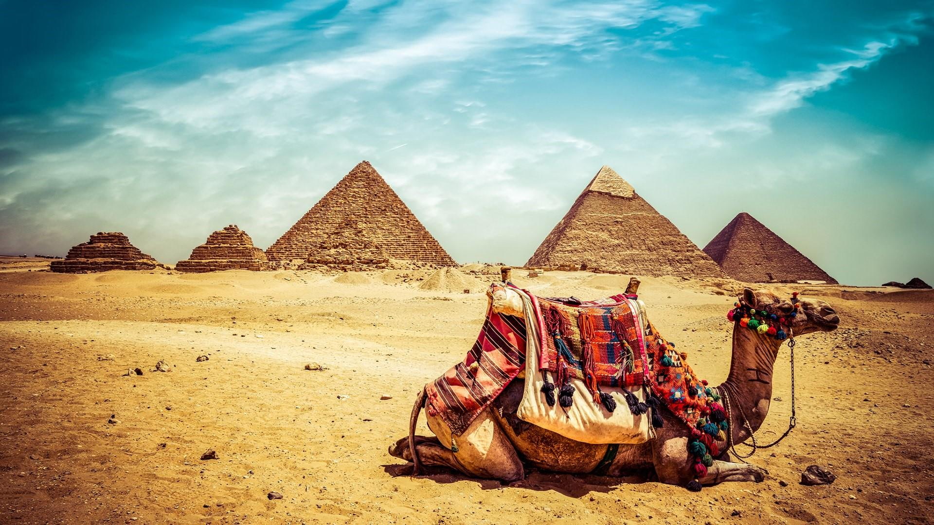pyramids, largest, complex, pyramid, 1080P, cheops, desktop, hd, camel, khufu, oldest, egypt, giza, three, HD Wallpaper