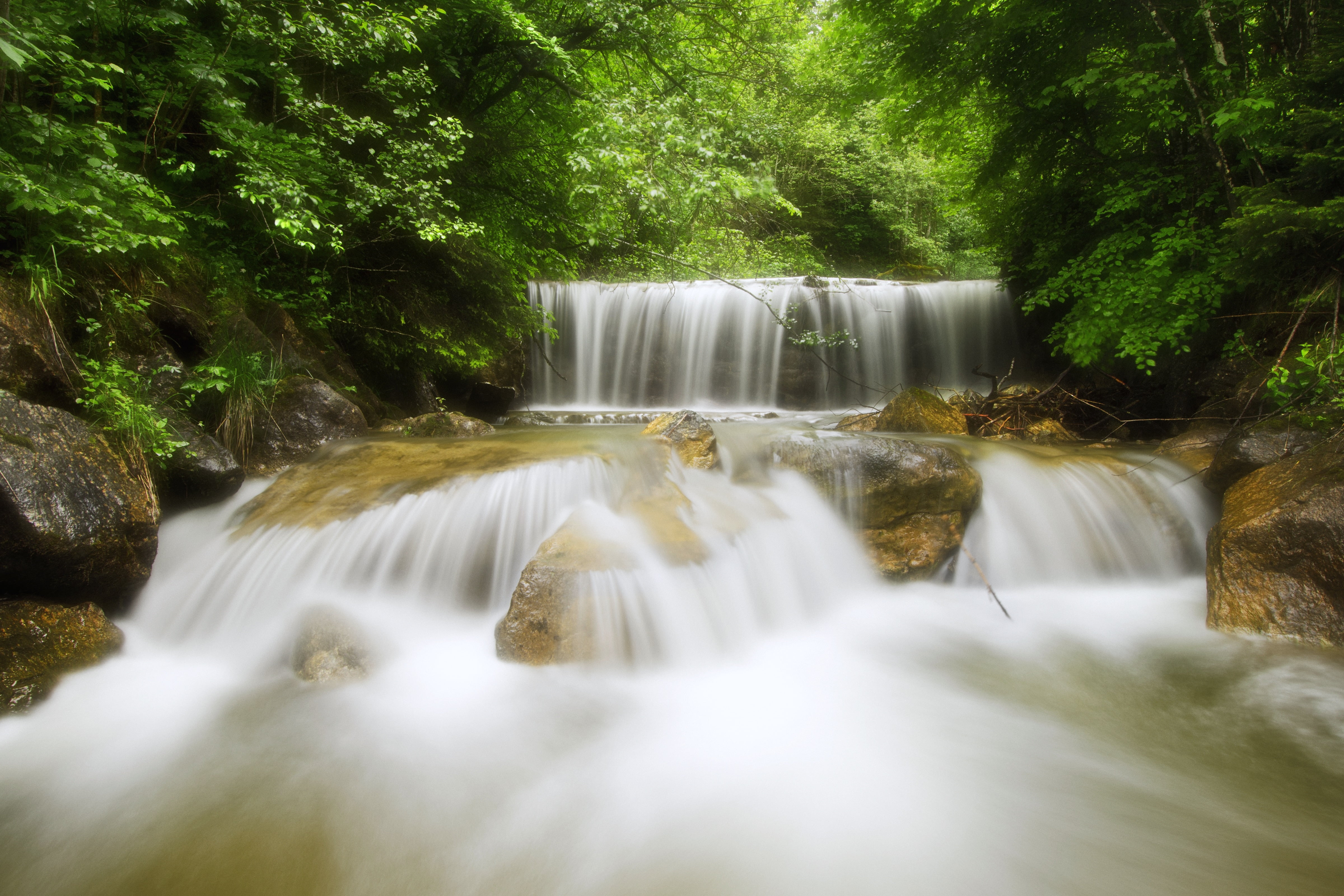 tropical Rainforest, Wild, waterfall, heaven, Bayern, forest, scenics, Alpen, landscape, outdoor, cascade, river, purity, Alps, Wasserfall, tree, Wasser, HD Wallpaper