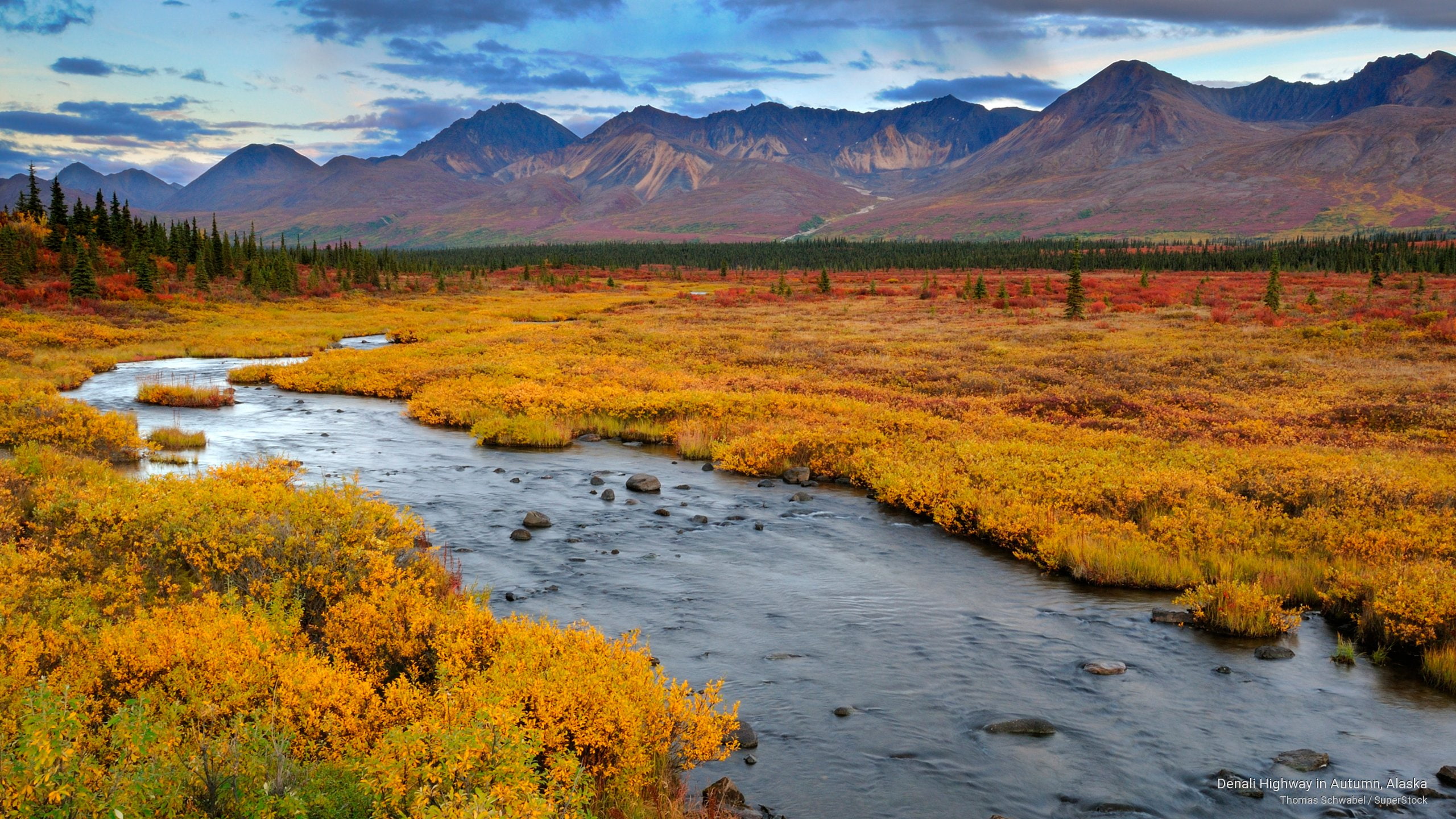 2K, autumn, alaska, Fall, denali, highway, HD Wallpaper