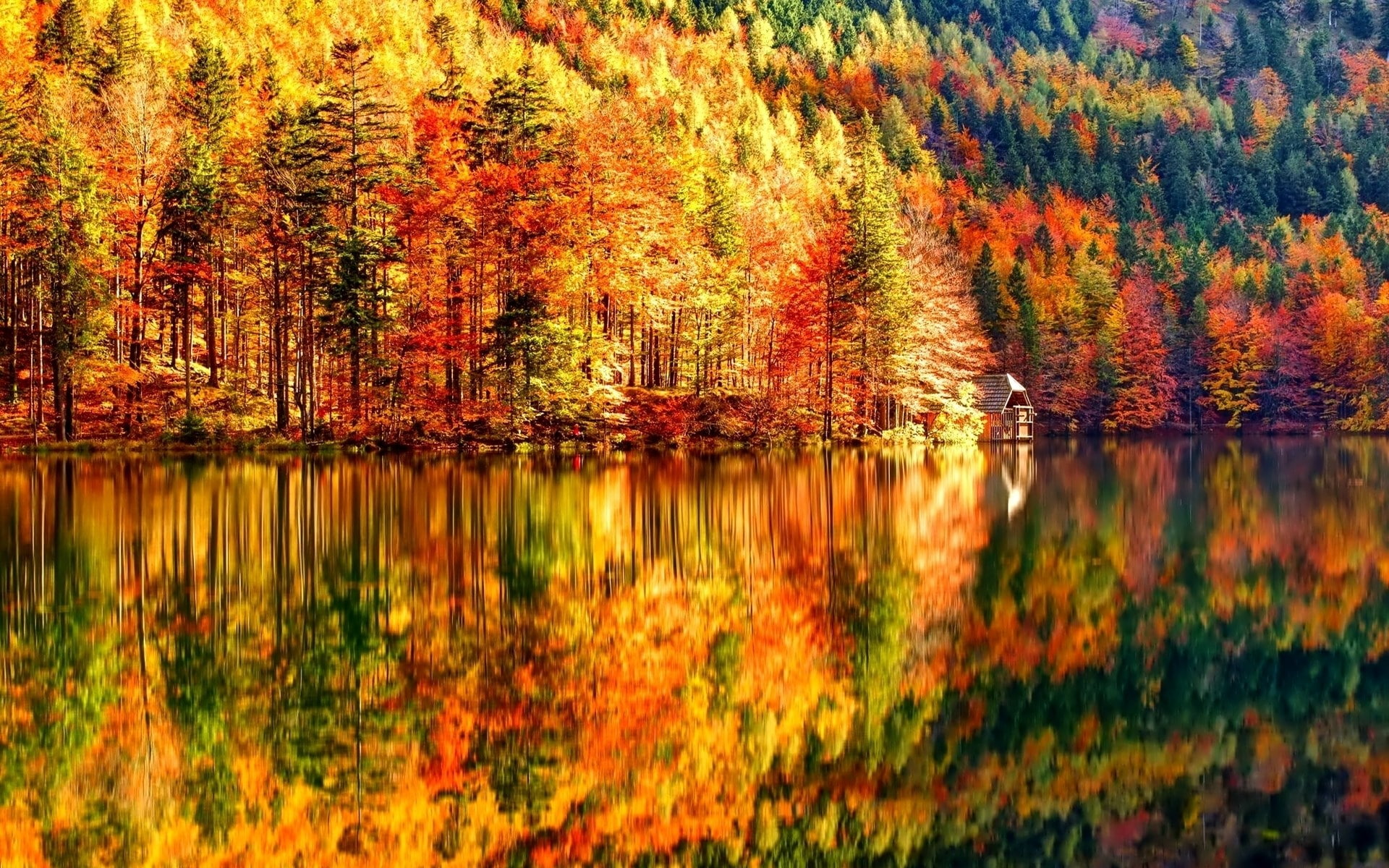 autumn collection, growth, water, reflection, orange color, idyllic, forest, reflection lake, tranquil scene, tranquility, nature, tree, no people, autumn, HD Wallpaper