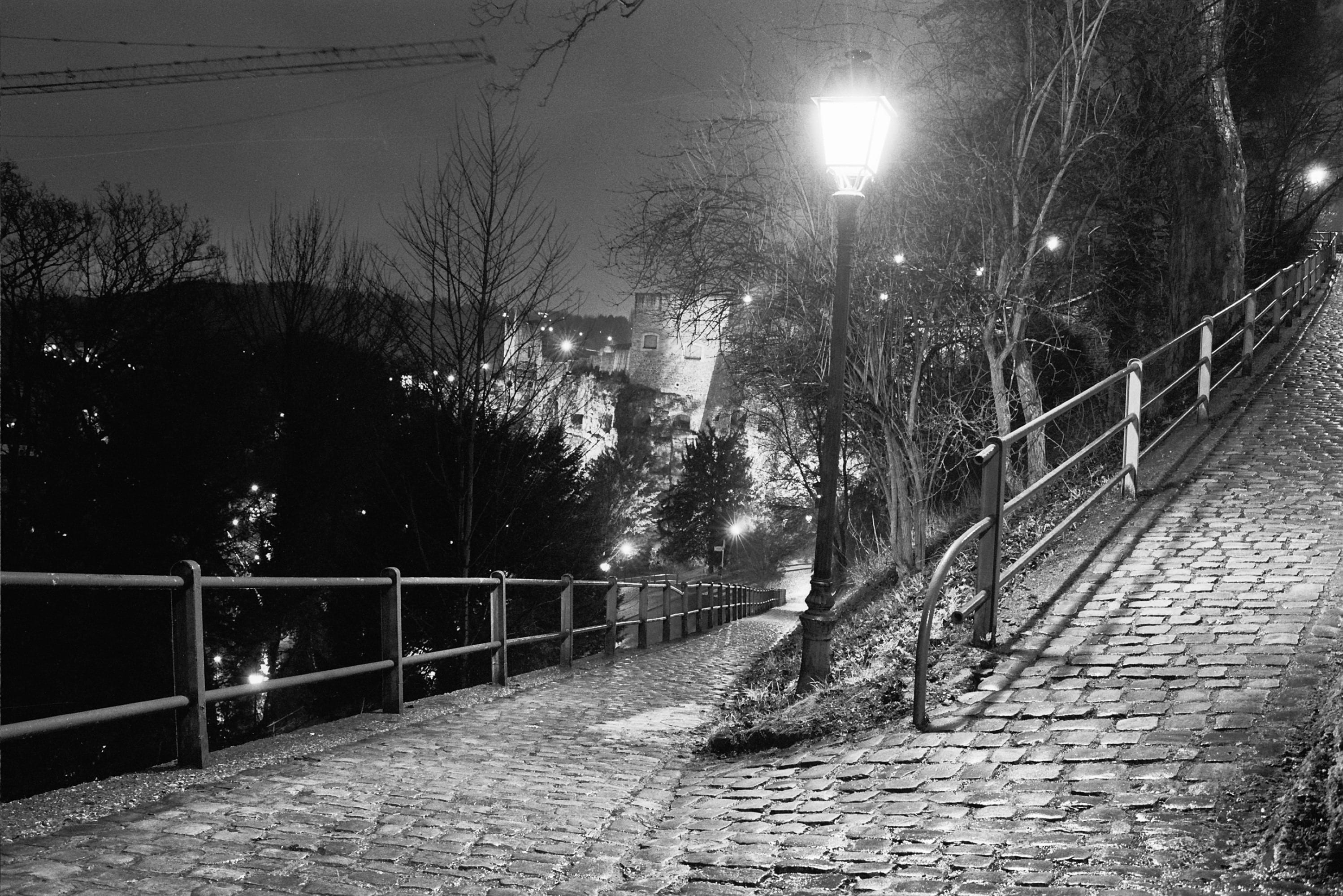 diminishing perspective, railing, tree, street, boundary, nikon f90, the way forward, plant, lanterns, luxembourg, nature, outdoors, built structure, barrier, HD Wallpaper