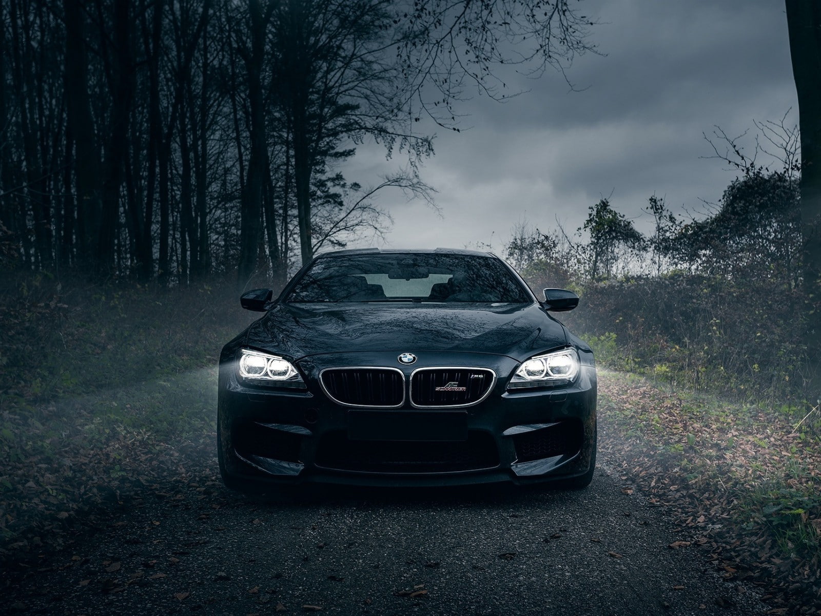 transportation, land vehicle, plant, 720P, tree trunk, AC Schnitzer, road trip, woodland, land, mode of transportation, no people, road, trunk, BMW, nature, HD Wallpaper