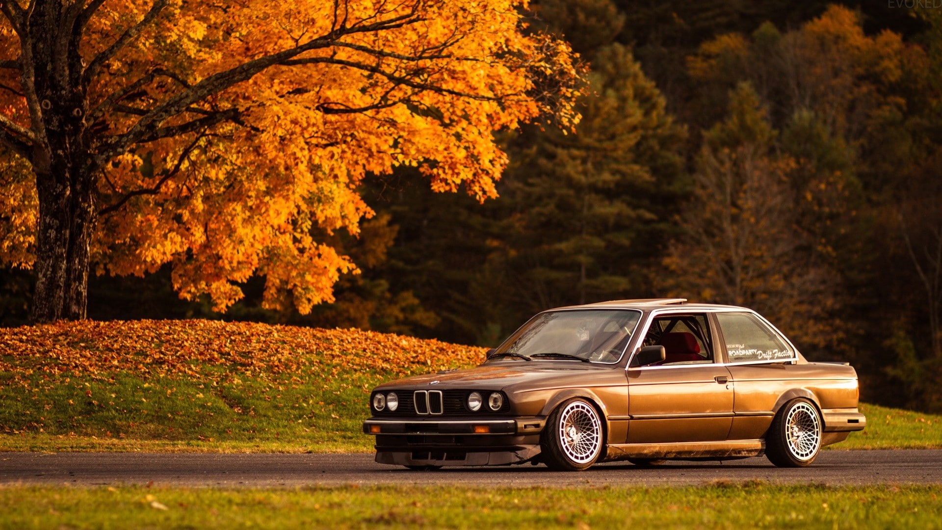 outdoors, BMW 3 Series, transportation, plant, nature, orange color, car, mode of transportation, land, change, Vintage car, fall, leaf, land vehicle, plant part, HD Wallpaper