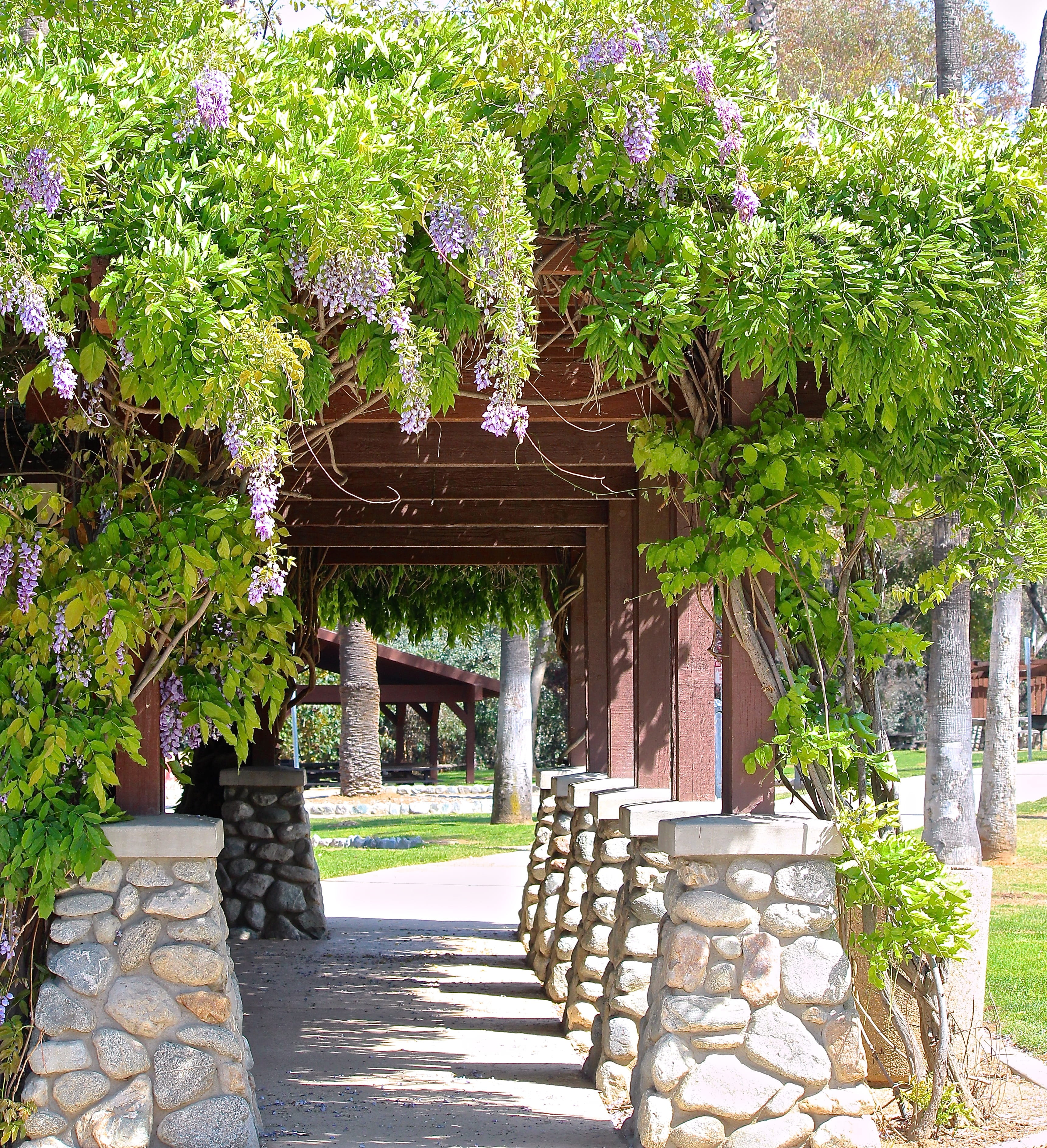 doorway, shrub, growth, outdoors, building, built structure, green color, garden, entrance, no people, wisteria, park, flowers, gazebo, patio, landscaped, Phone HD Wallpaper