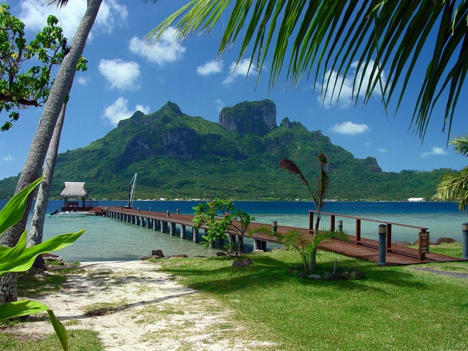 arbor, tourist Resort, palm trees, plant, thailand, travel, mountain, coast, tropical Climate, blue, sea, land, beach, beauty In Nature, seascape, famous Place, HD Wallpaper