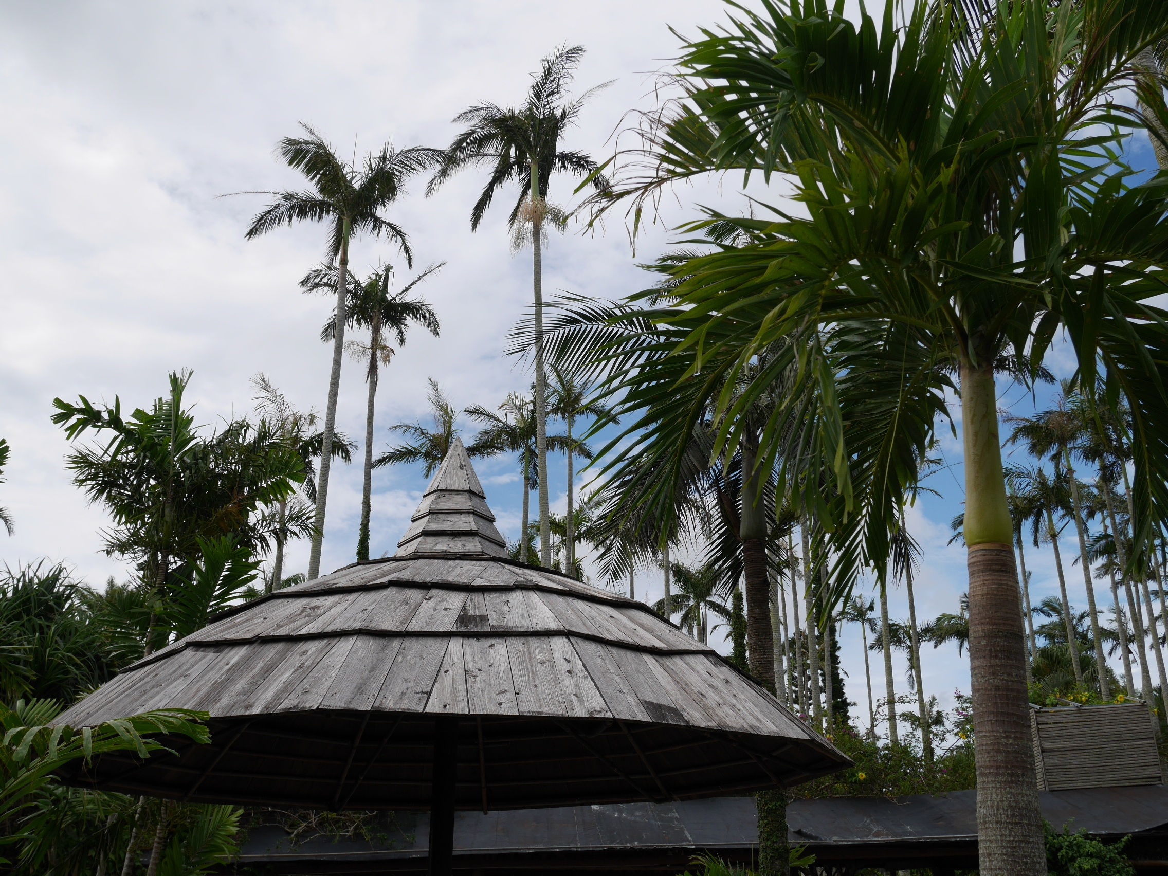 built structure, nature, growth, tree trunk, gazebo, palm, comfort, plant, tree, building exterior, coconut palm tree, arbor, break, southern countries, HD Wallpaper