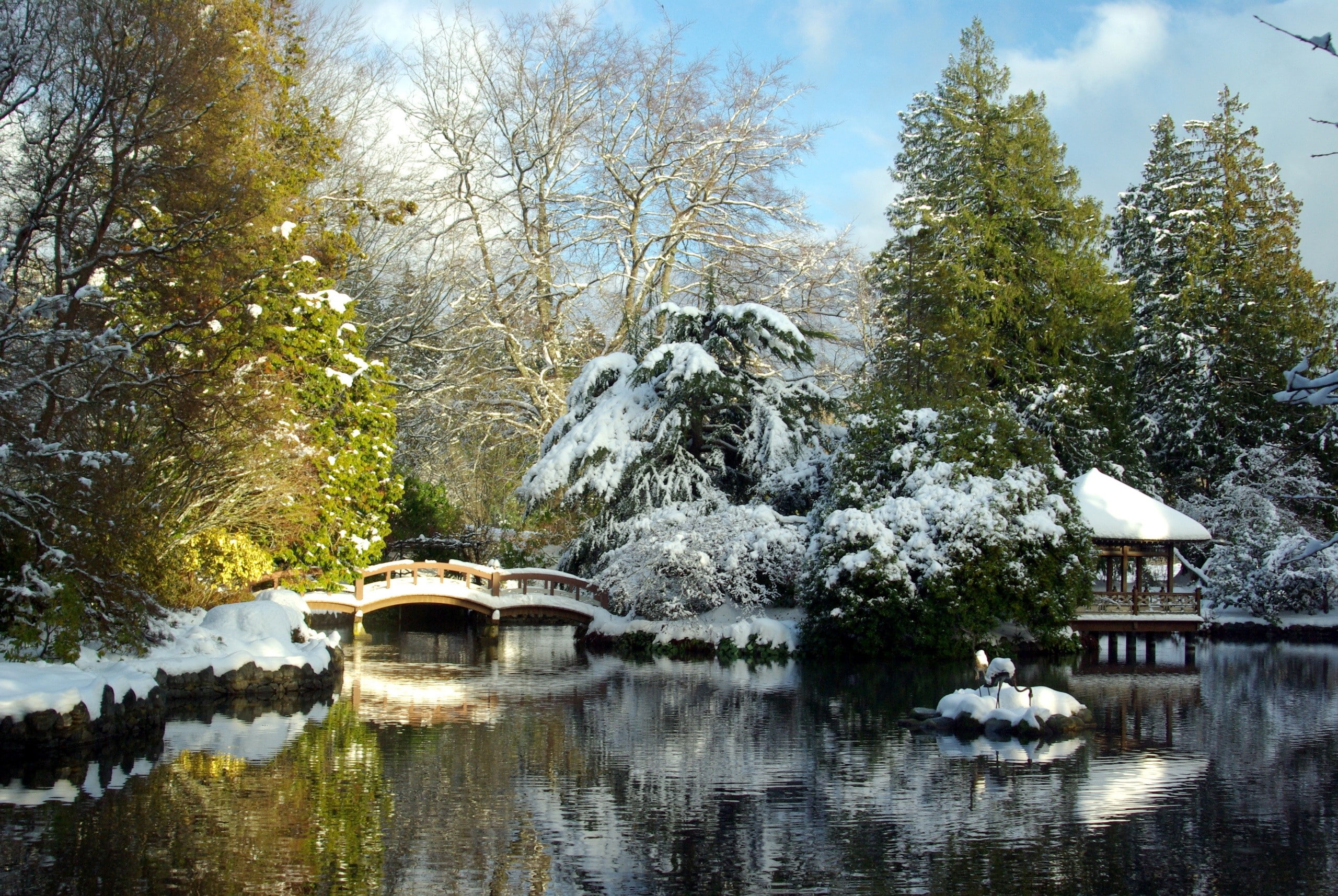 Landscape, architecture, built structure, growth, waterfront, Lake, Hatley park, reflection, connection, day, Snow, Trees, no people, transportation, 2K, HD Wallpaper