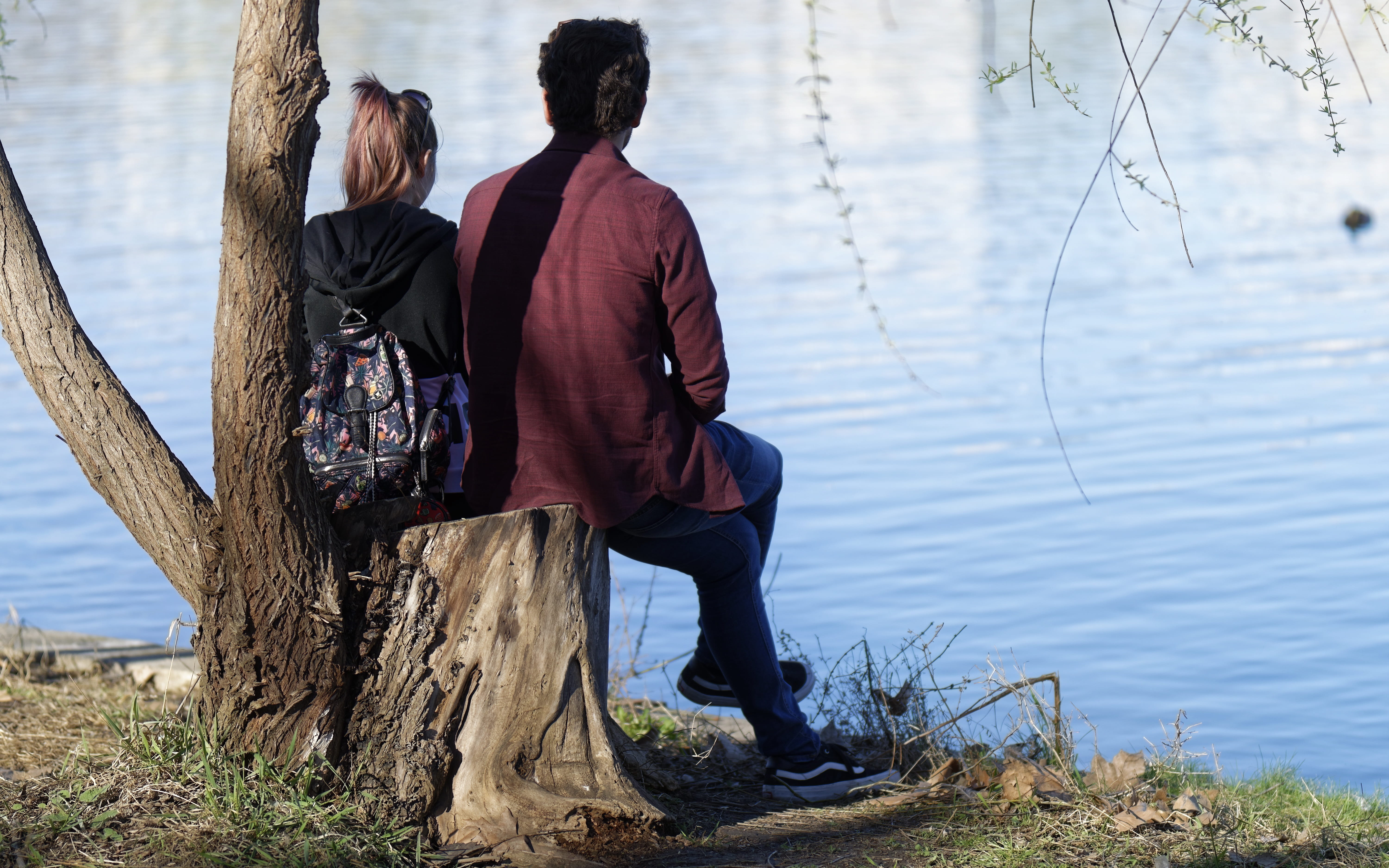 sitting, nature, place, spring, plant, human, on, full length, romance, casual clothing, real people, mal, tree, friend, leisure activity, focus on foreground, HD Wallpaper