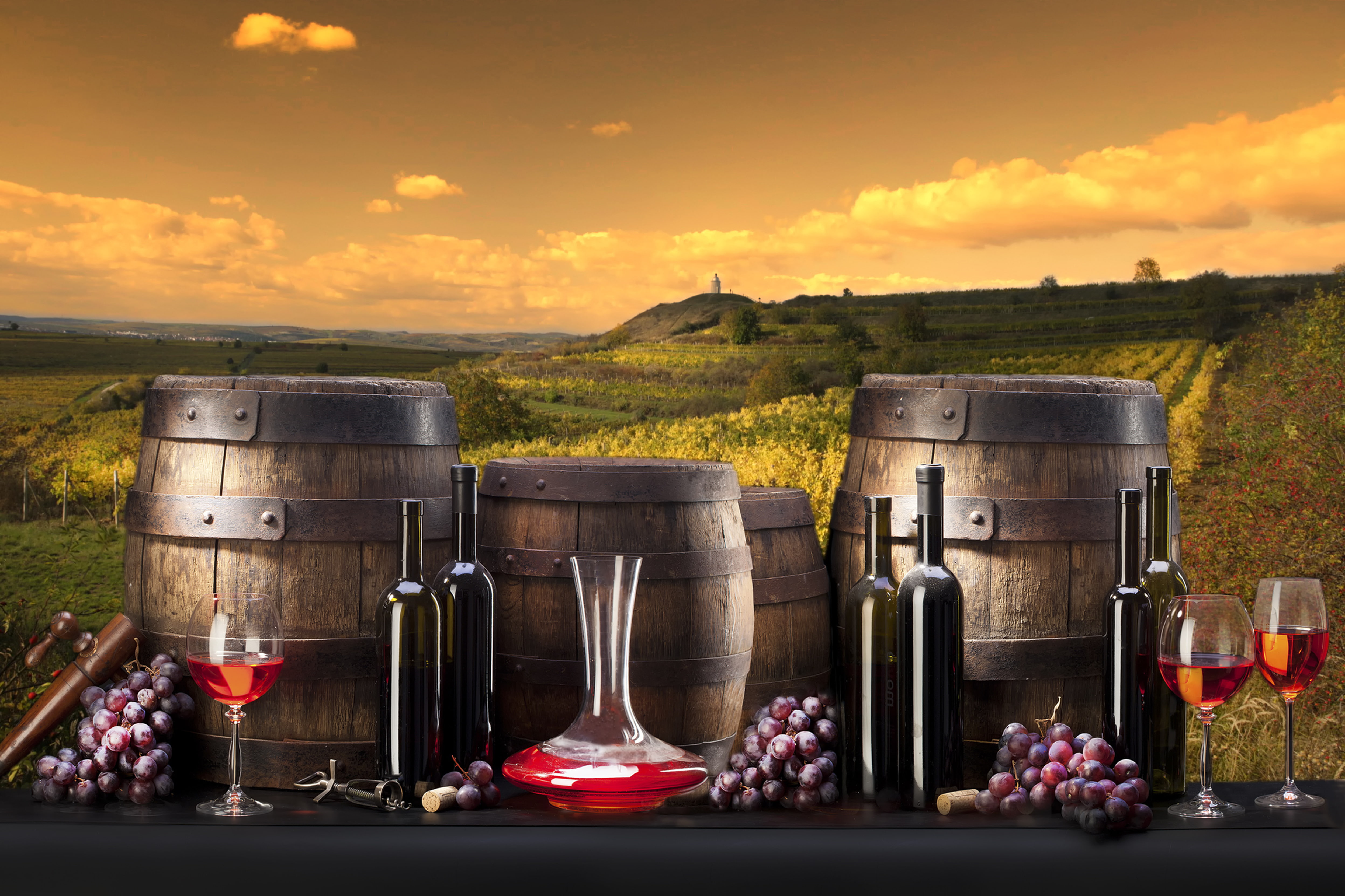 barrels, grapes, 4K, bottle, wine, the vineyards, HD Wallpaper