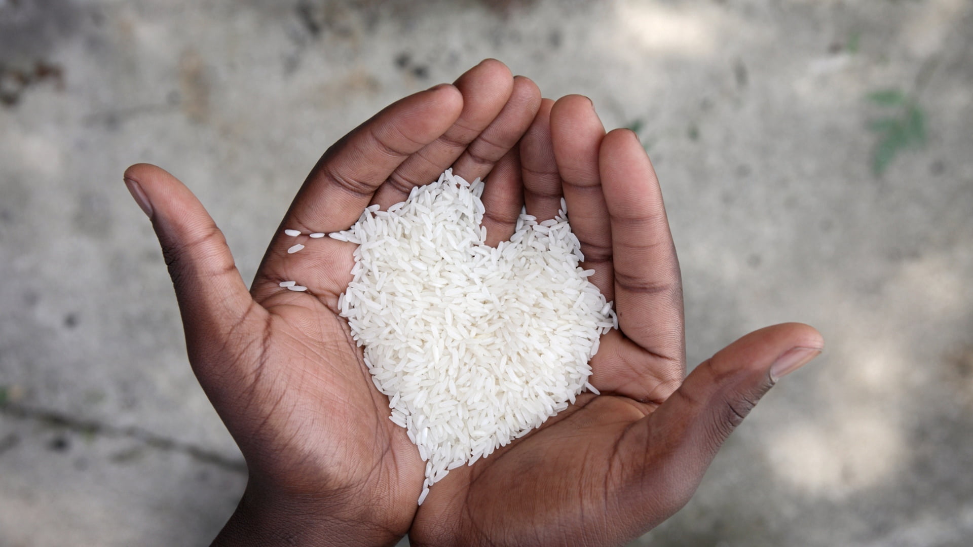 close-up, food, palm, rice, hands Cupped, unrecognizable person, agriculture, finger, handful, wellbeing, real people, seed, healthy Eating, 1080P, body part, HD Wallpaper