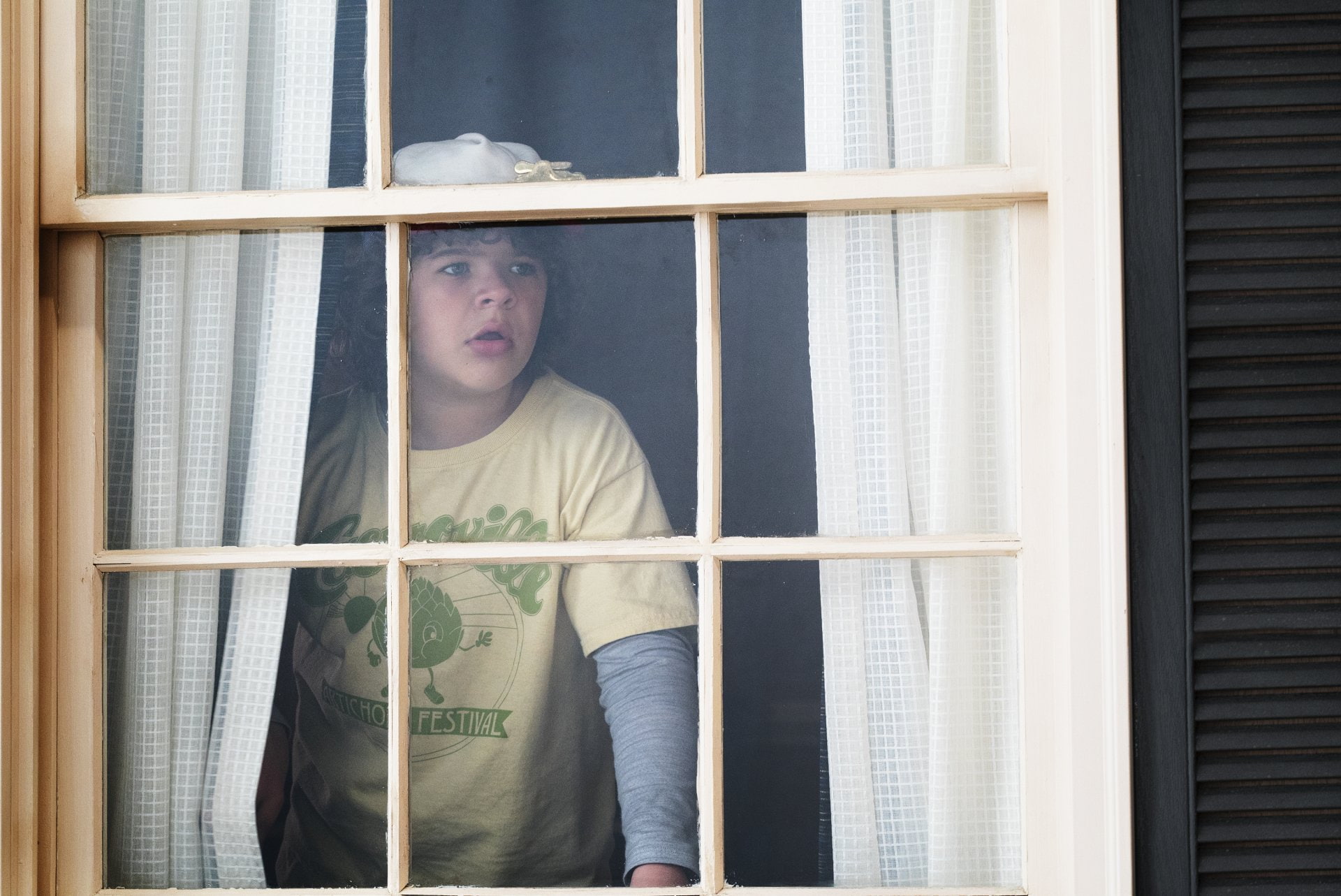 Gaten Matarazzo, TV Show, Stranger Things, 1080P, Dustin Henderson, HD Wallpaper
