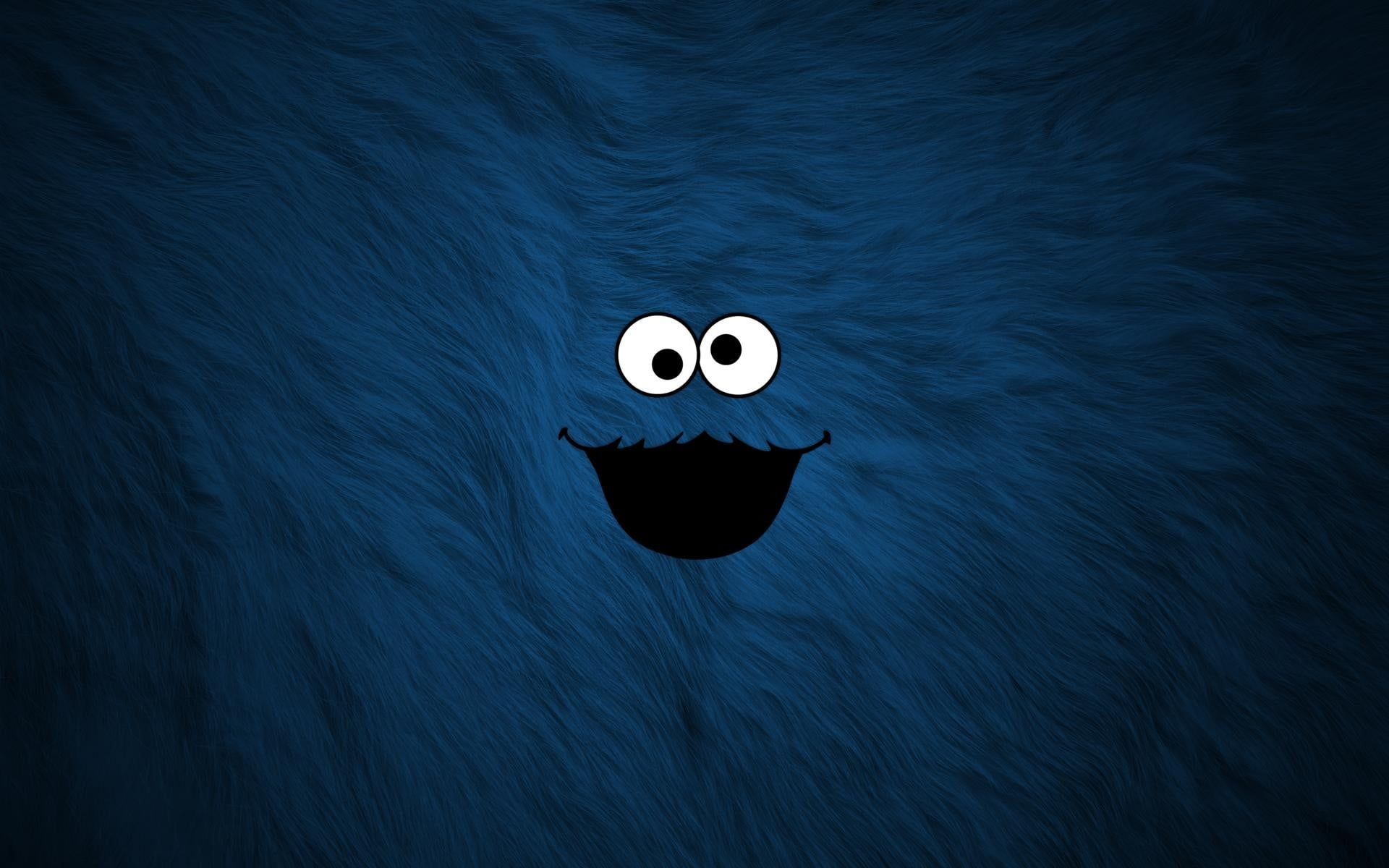 anthropomorphic smiley face, animal themes, representation, ball, close-up, Cookie Monster, fur, directly above, black color, indoors, animal, anthropomorphic face, HD Wallpaper