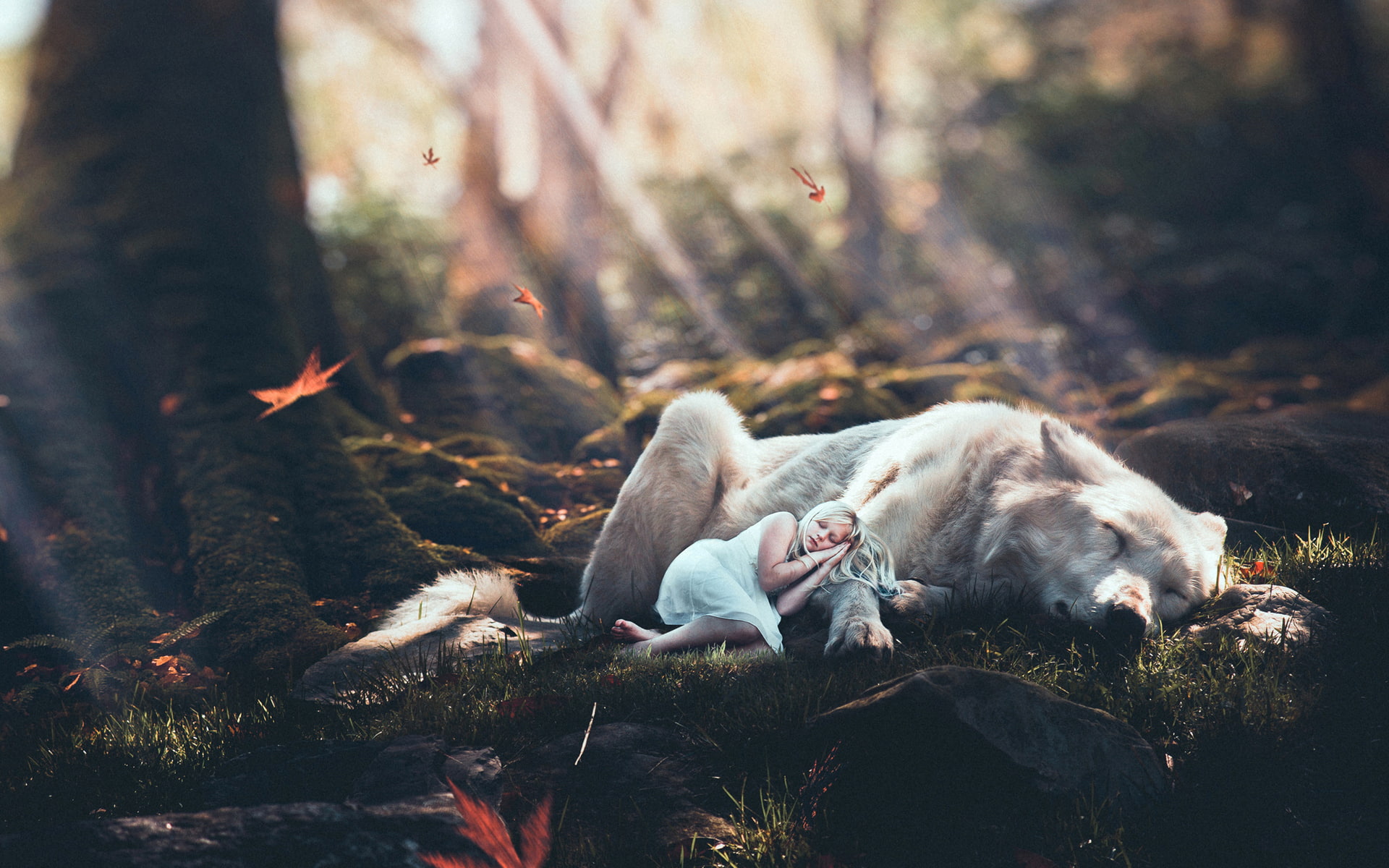 wolf, blonde, women, nature, animals, depth of field, photo manipulation, forest, 1080P, HD Wallpaper