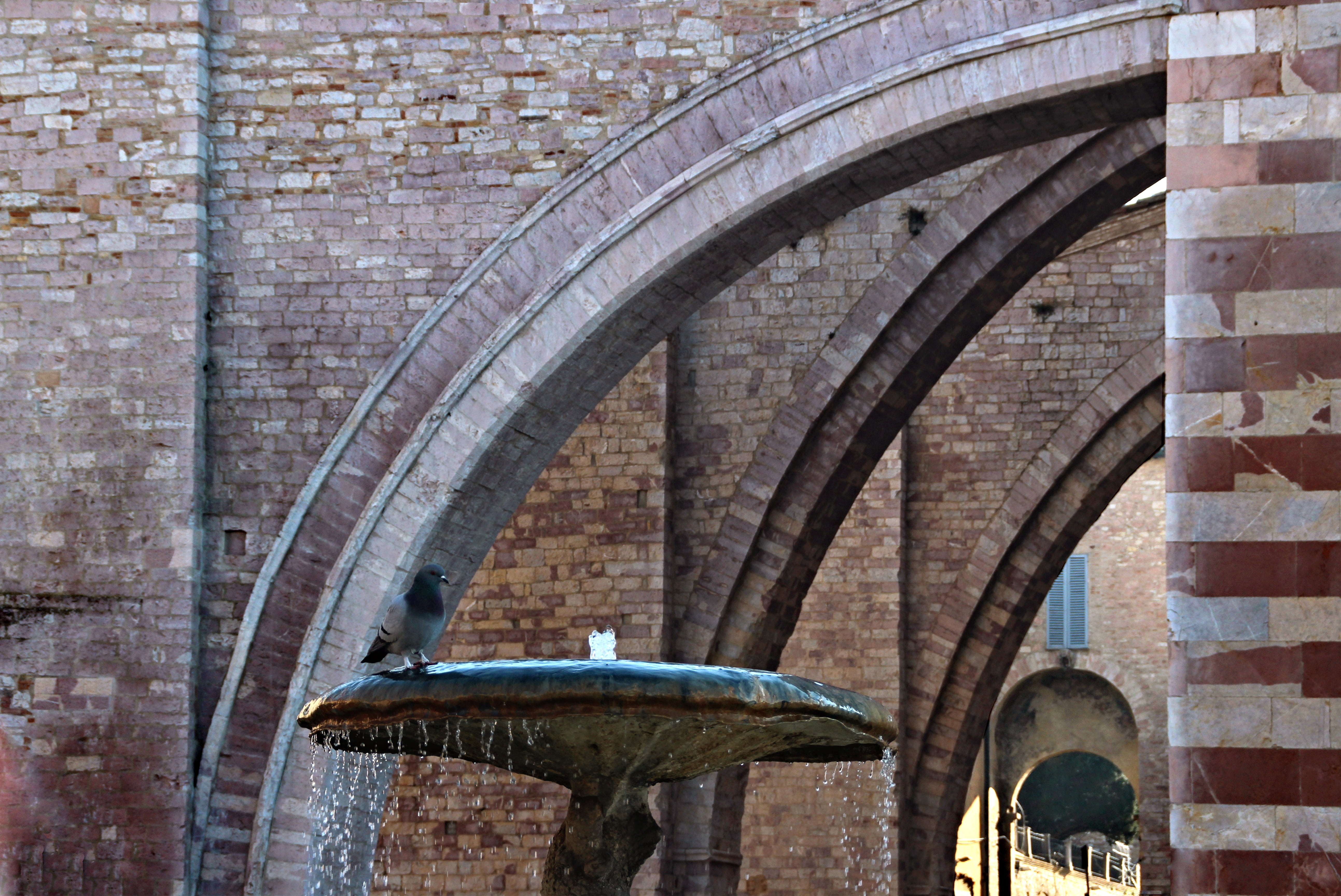 built structure, arch, animal wildlife, no people, architecture, wall - building feature, level tiles, pixel art, the past, paint, tutorial, old, building exterior, HD Wallpaper