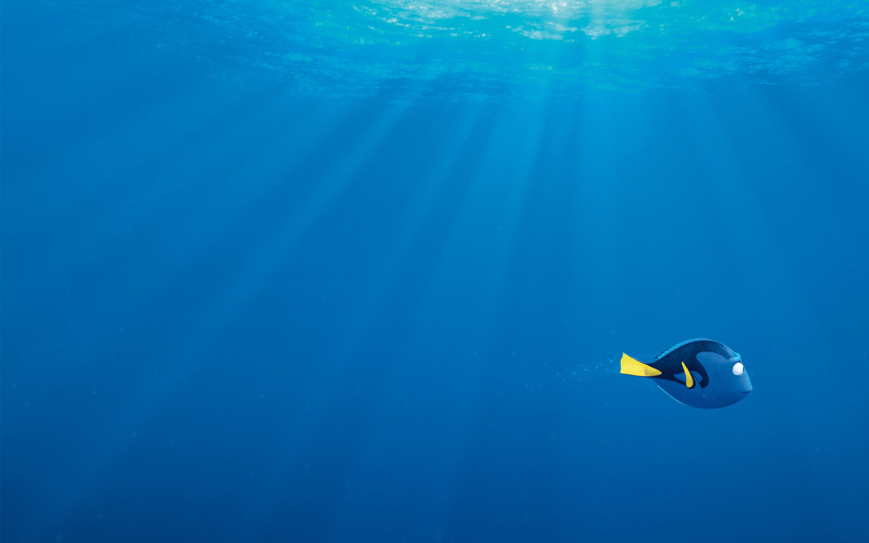 copy space, animal themes, Finding Dory, animals in the wild, underwater, blue, nature, floating on water, sunbeam, fish, Dori, animal, no people, marine, HD Wallpaper