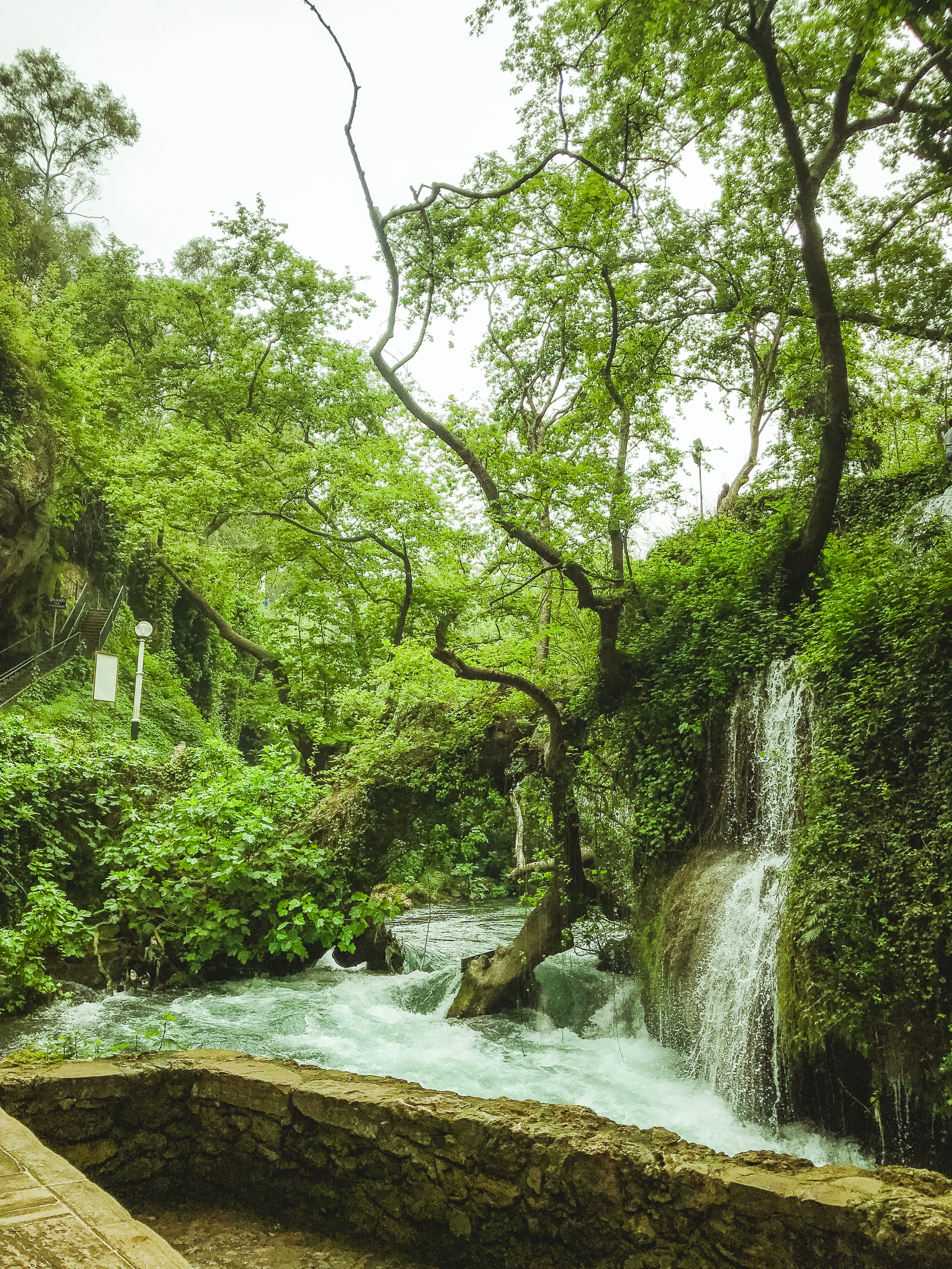 forest, land, motion, no people, plant, long exposure, tree, beautiful destinations, vegetation, flowing water, environment, growth, tranquility, green color, Phone HD Wallpaper