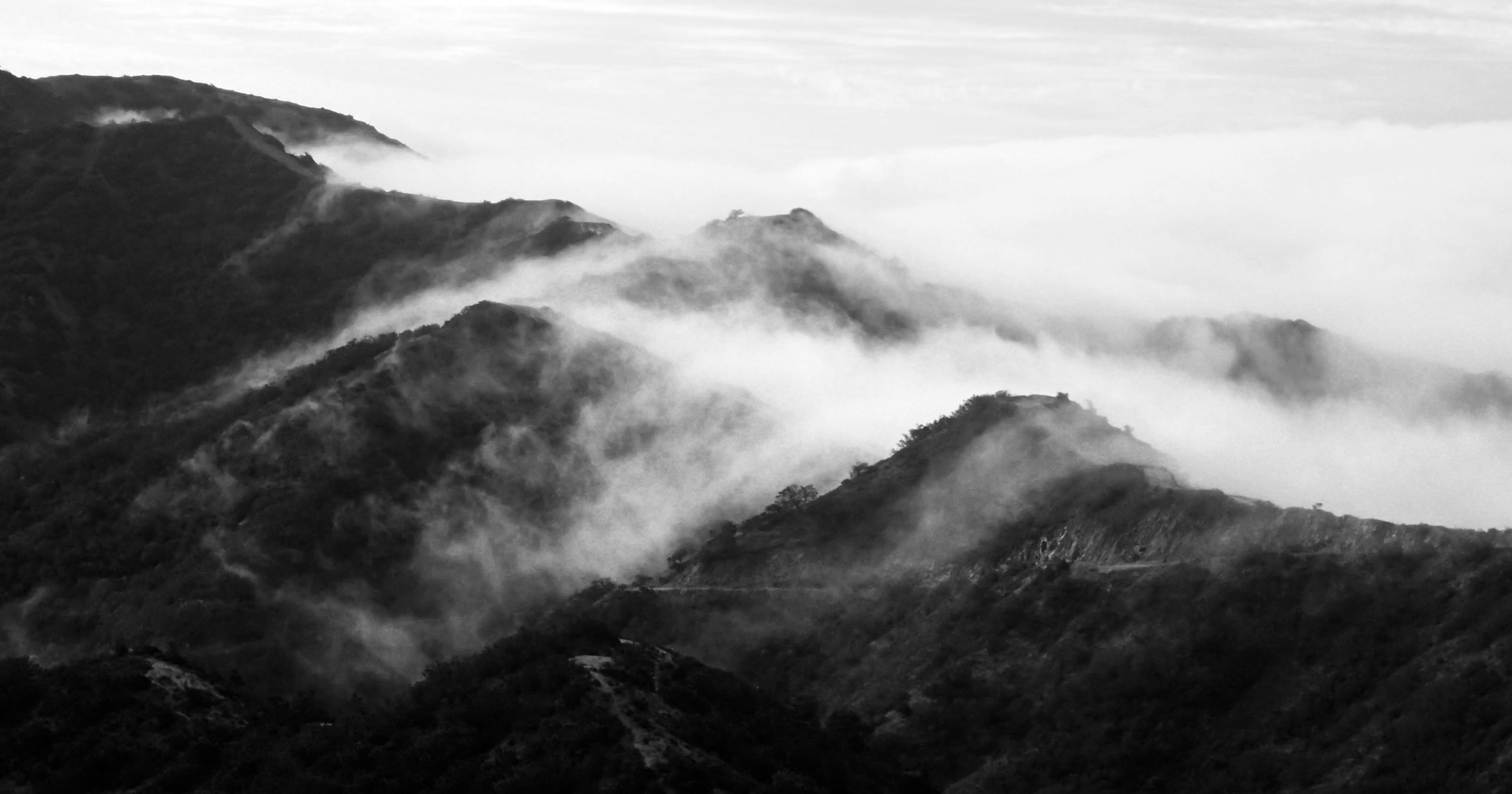 cloud, tree, scenics - nature, black and white, beauty in nature, nature, outdoors, land, plant, non-urban scene, tranquility, mountain peak, santa catalina island, HD Wallpaper