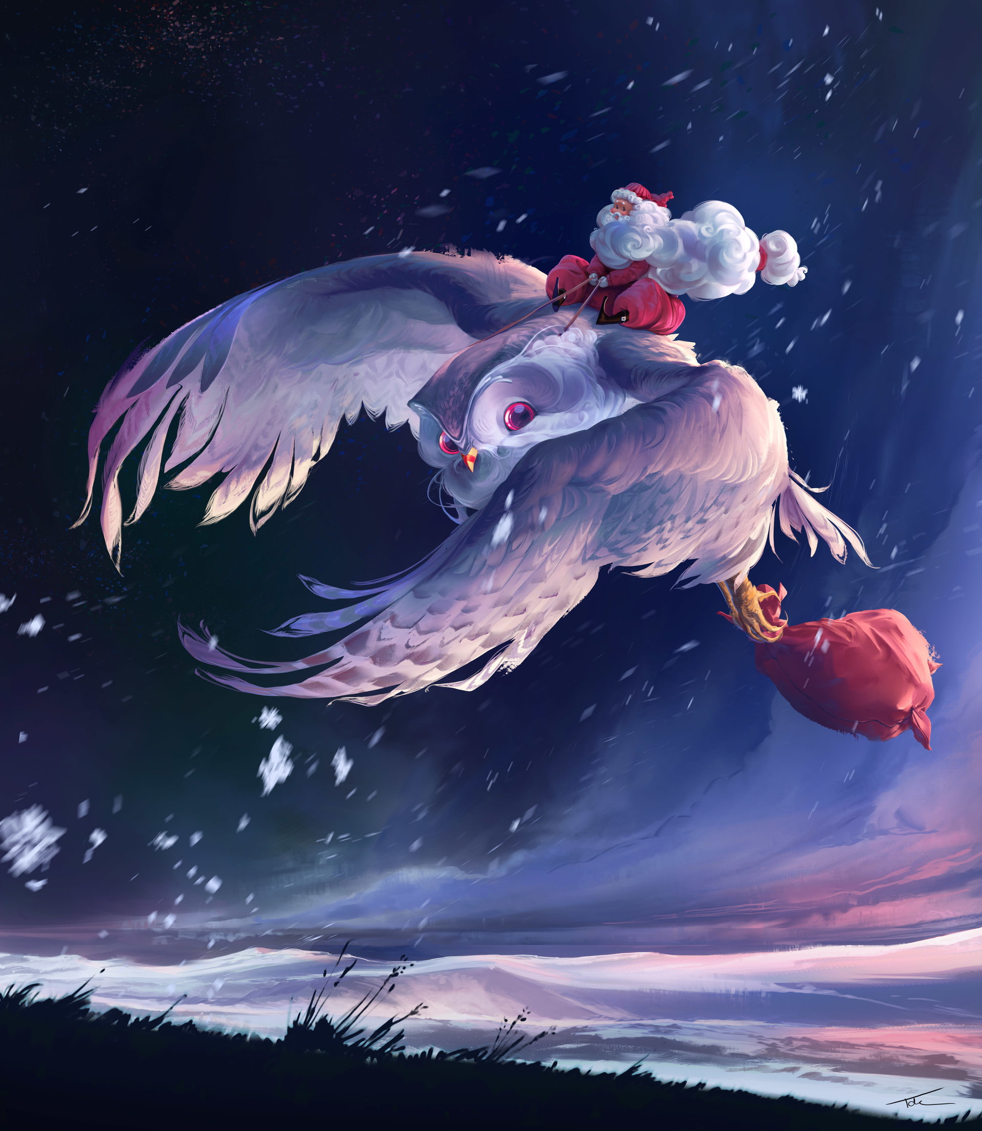 snow, outdoors, Fly, underwater, sky, animal, water, one animal, close-up, 1080P, vertebrate, animal themes, bag, fish, beauty in nature, men, Santa Claus, Phone HD Wallpaper