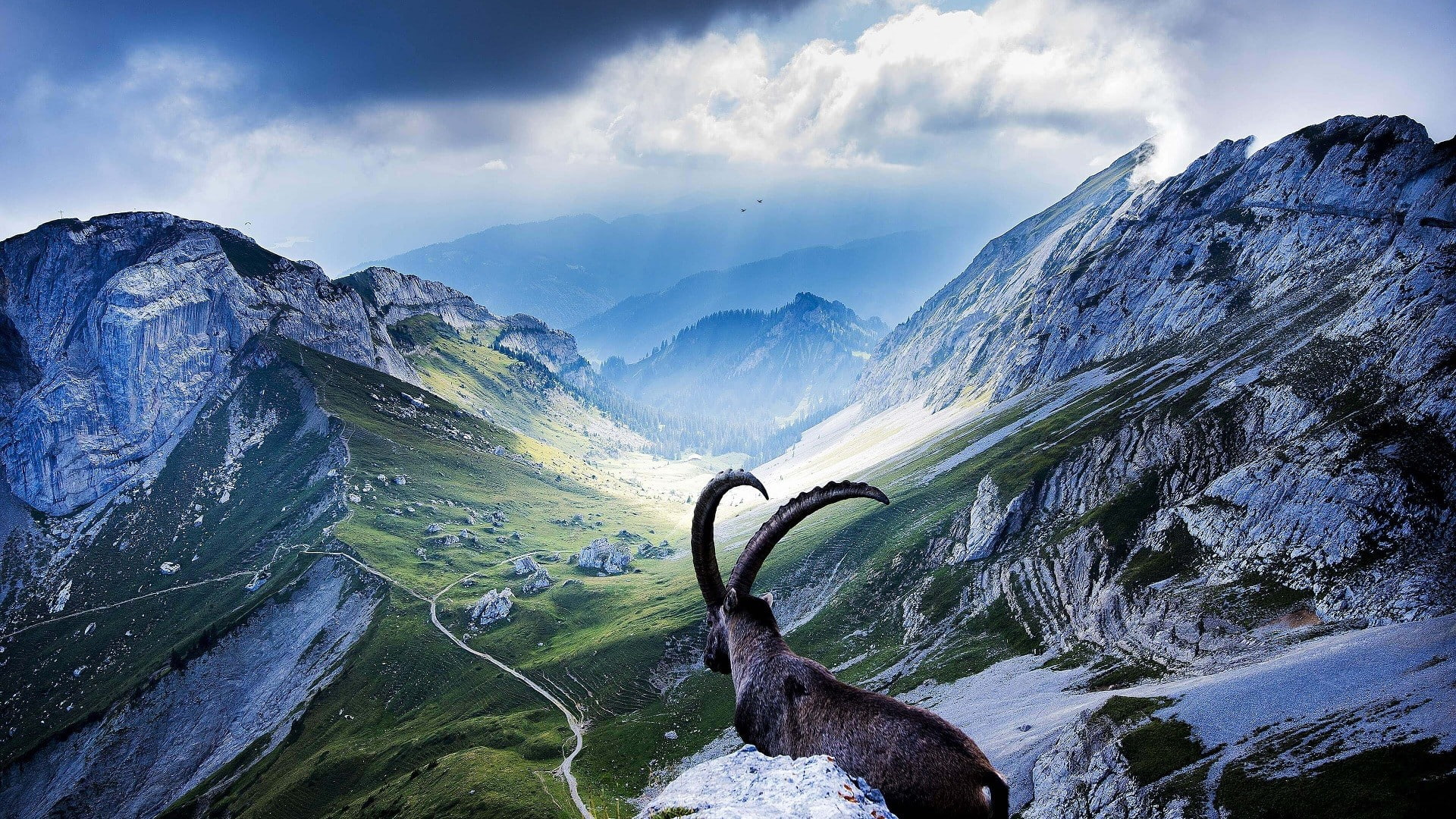 landscape, non-urban scene, winding road, sky, pine woodland, mountain, travel destinations, mountains, valley, nature, horns, snowcapped mountain, tranquility, HD Wallpaper