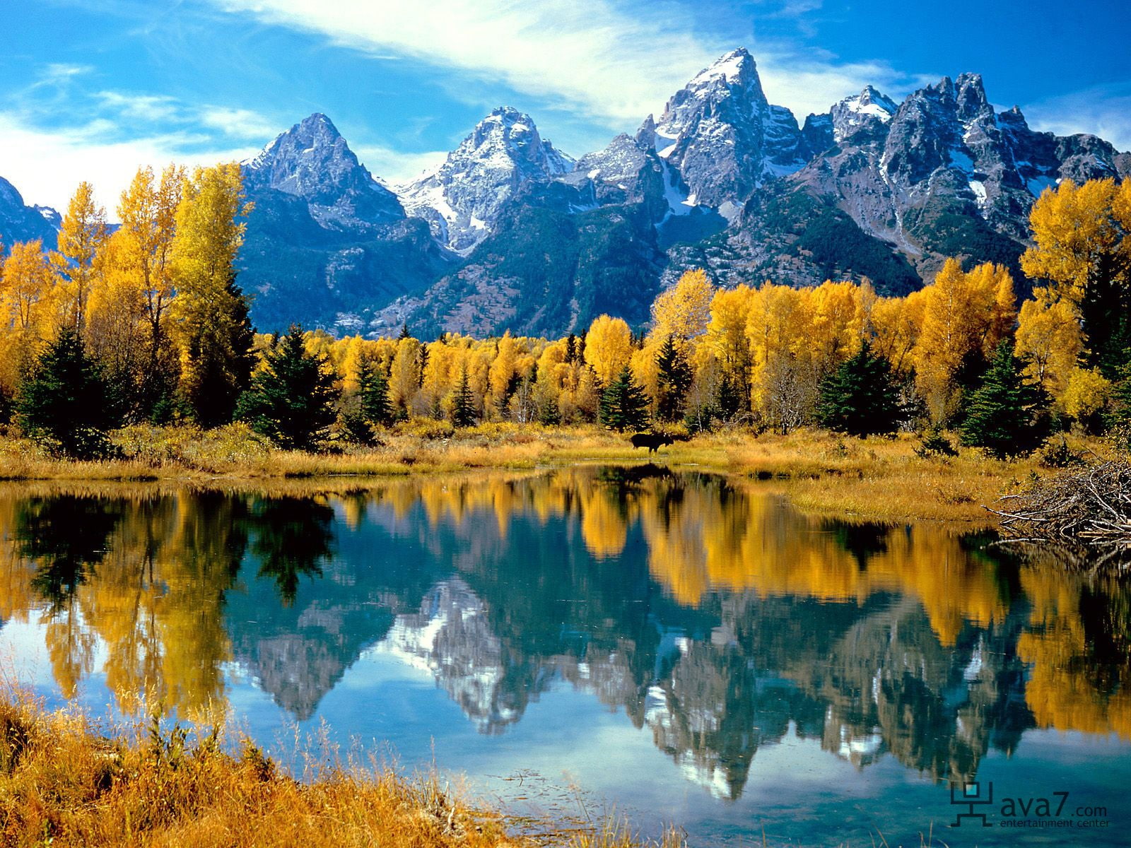 landscape, reflection, mountains, 720P, nature, lake, moose, fall, HD Wallpaper