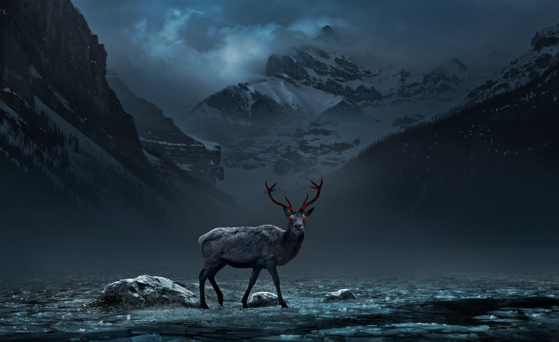 animal wildlife, herbivorous, deer, animals in the wild, outdoors, animal, 1080P, red eyes nature animals deer mountains digital art trees forest clouds night, HD Wallpaper