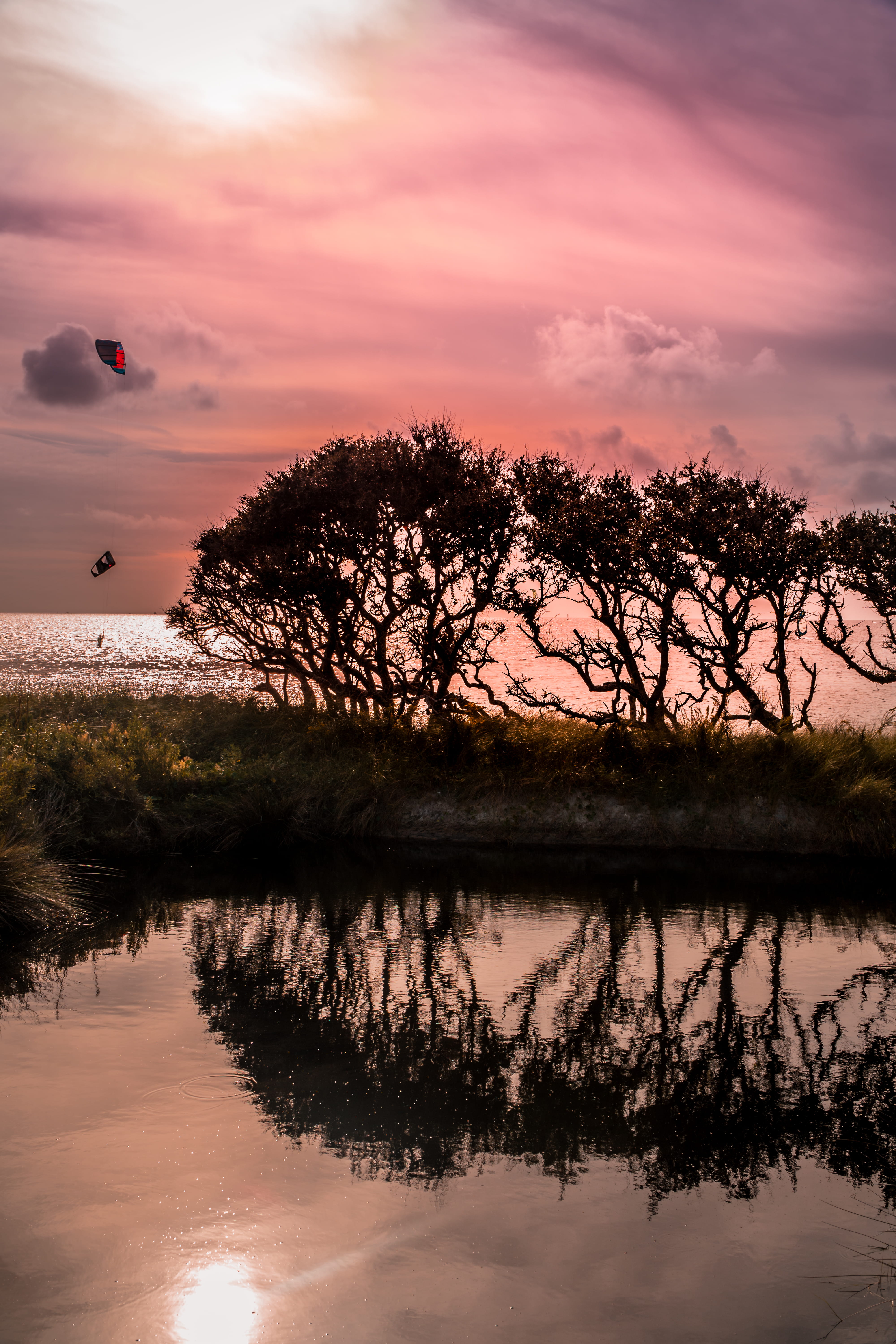 tree, north carolina, ocean view, 5K, scenics - nature, tranquility, water, waterfront, beauty in nature, orange color, beach, plant, sunset, non-urban scene, Phone HD Wallpaper