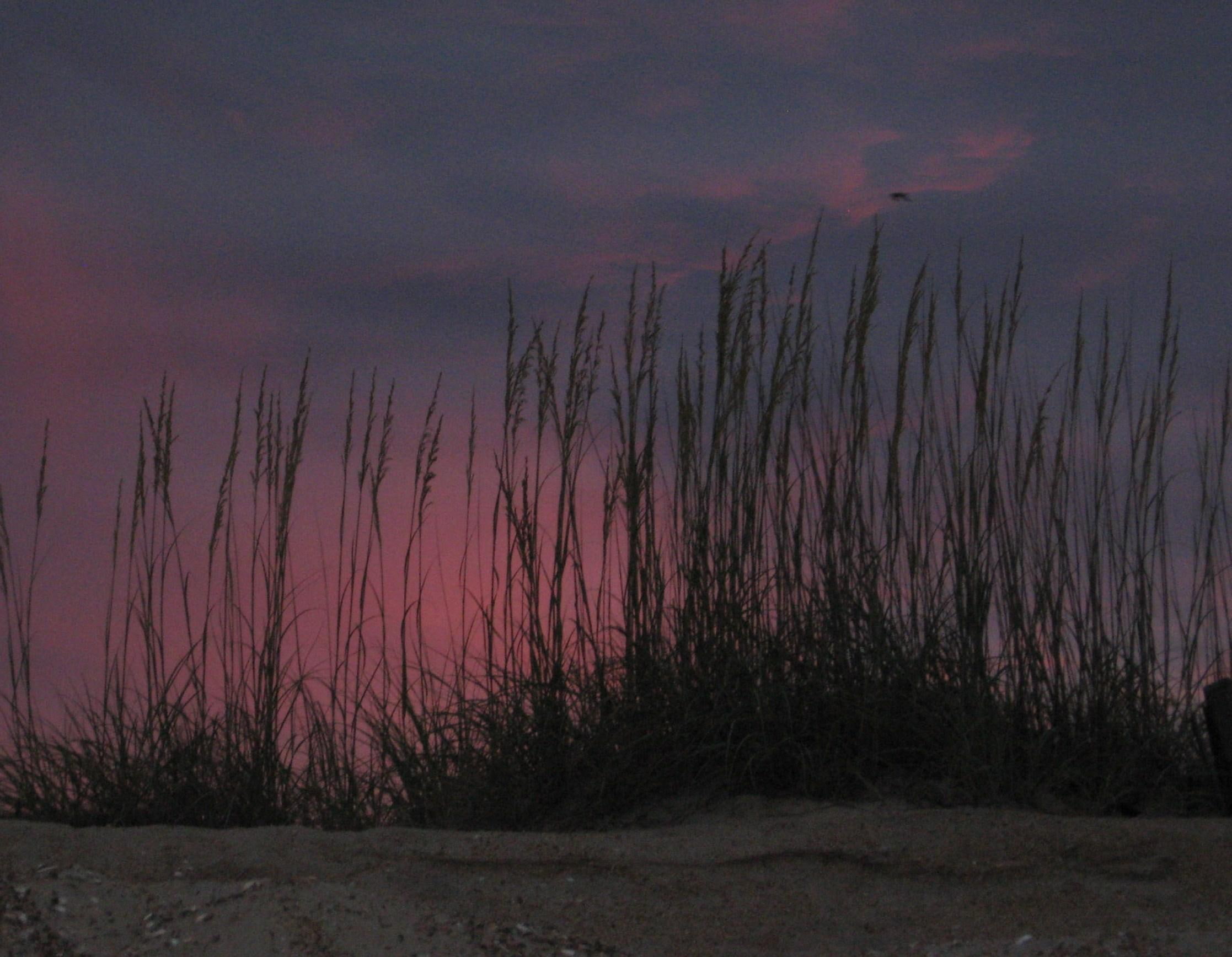 north carolina, outer banks, grass, 1080P, ocean, beach, nags head, 3d and abstract, sand, sunset, HD Wallpaper
