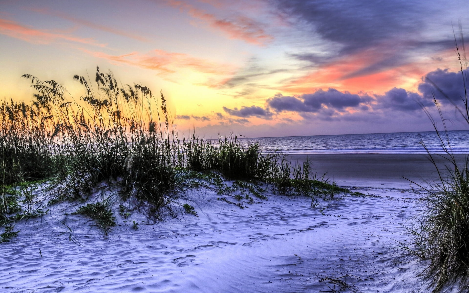 sunlight, Hilton Head Island, the Hilton head island, waters Edge, tree, scenics - nature, sunset, beach, grass, non-Urban Scene, landscape, reflection, HD Wallpaper