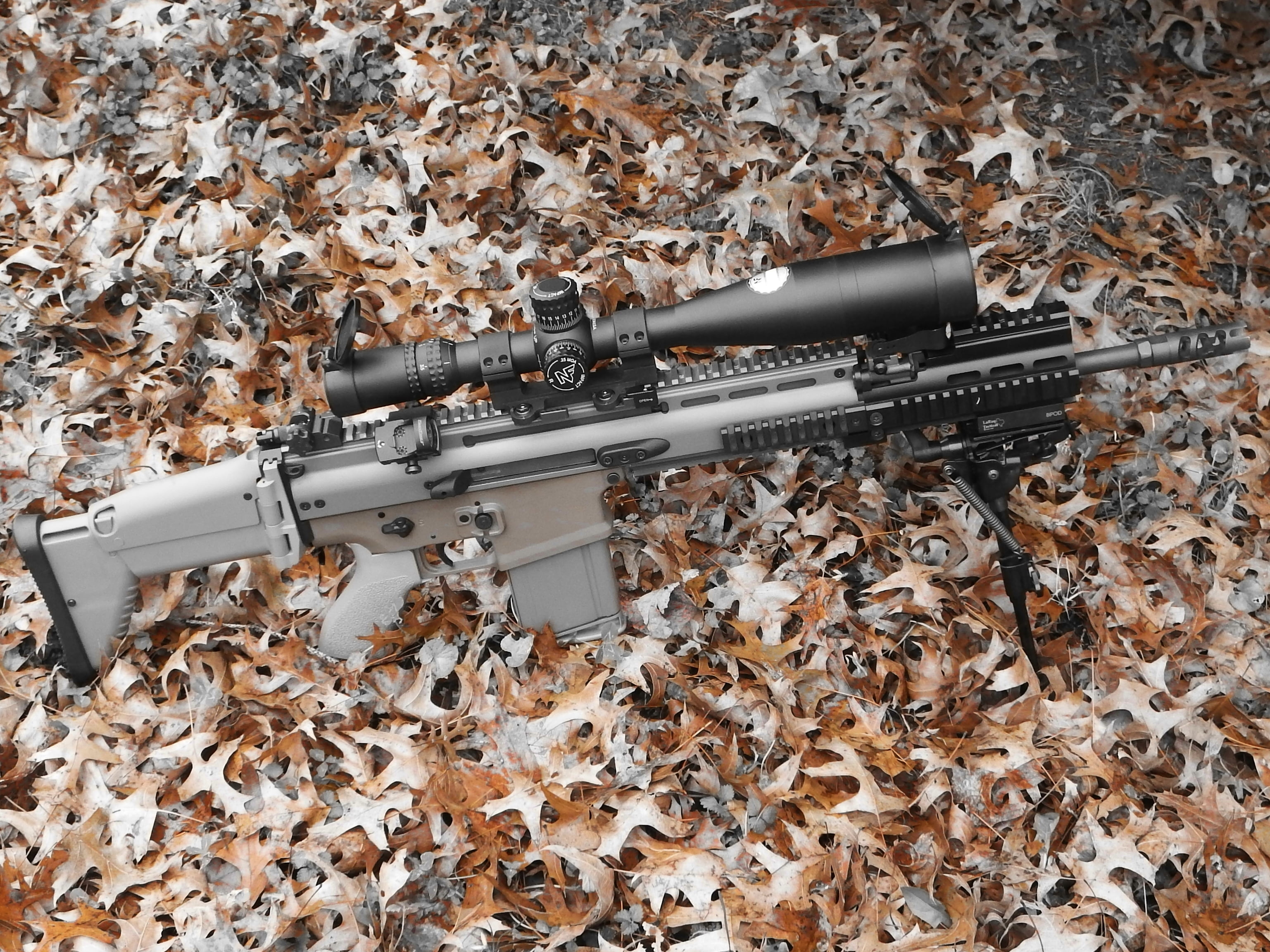 plant part, FN SCAR 17S, leaf, close-up, day, black, rifle, autumn, metal, still life, weapons, outdoors, gun, no people, equipment, machine, 2K, optics, HD Wallpaper
