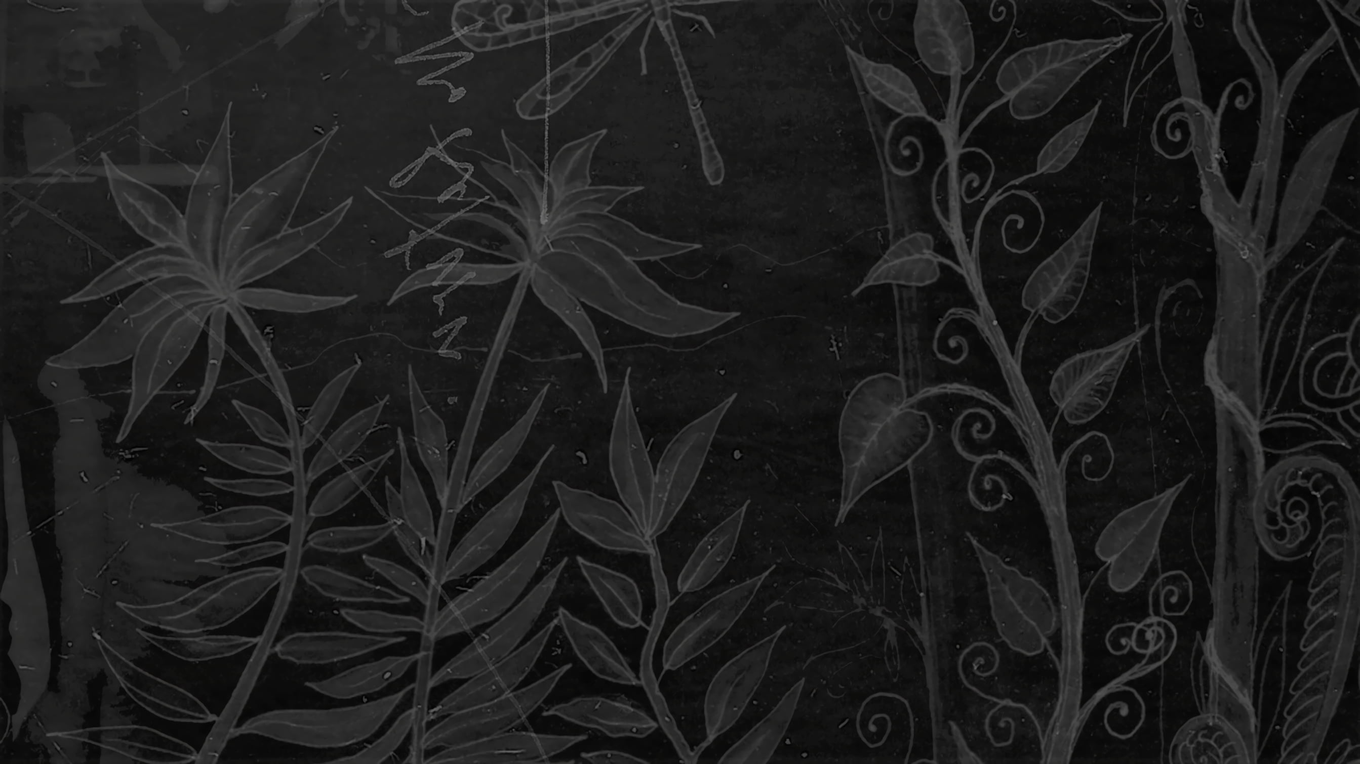 nature, 2K, Gojira, monochrome, HD Wallpaper