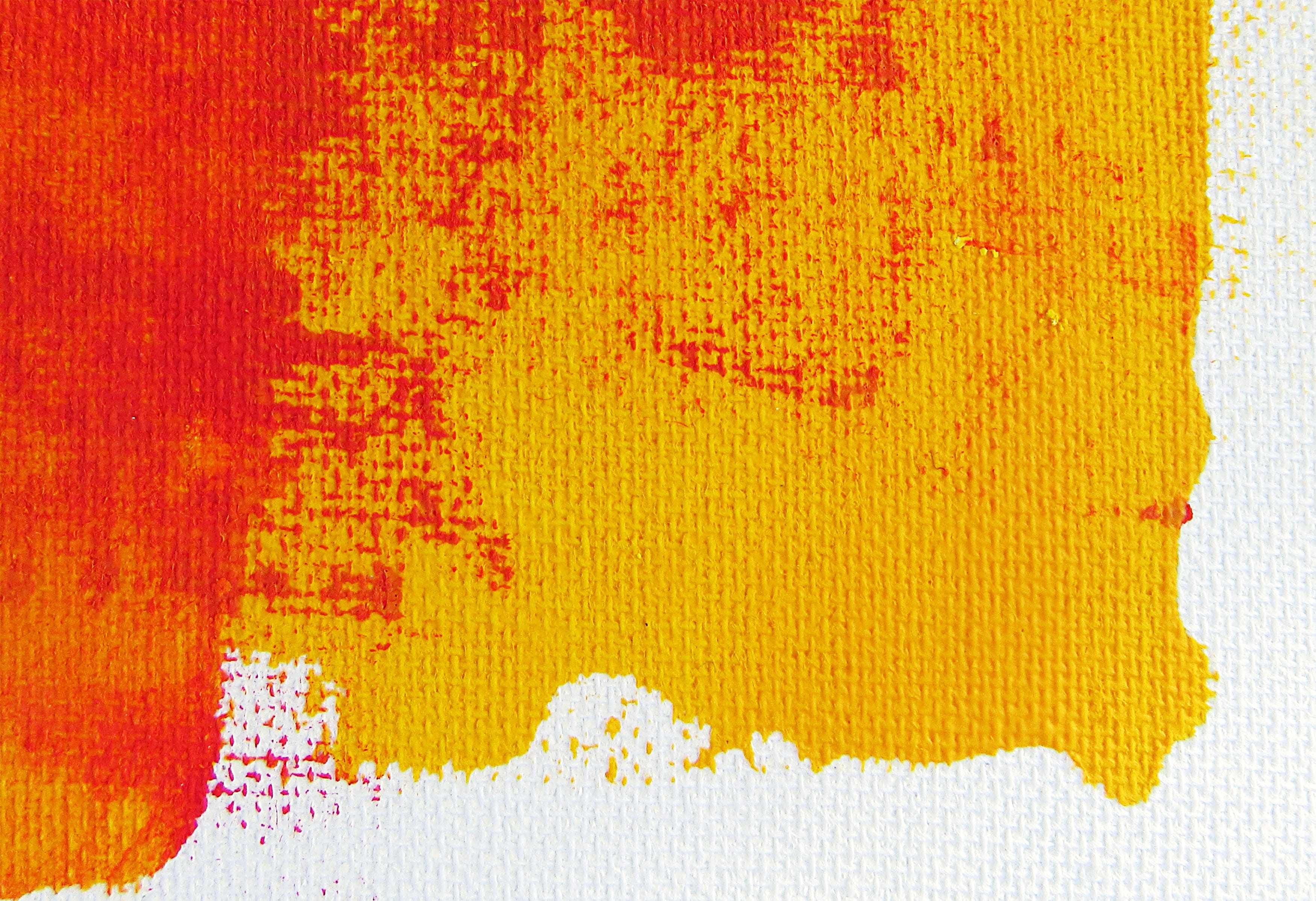 floral pattern, backgrounds, pollen, yellow, man made, modern art, plant, textured effect, man made object, rug, microscope, no people, cotton, red, atlas, HD Wallpaper