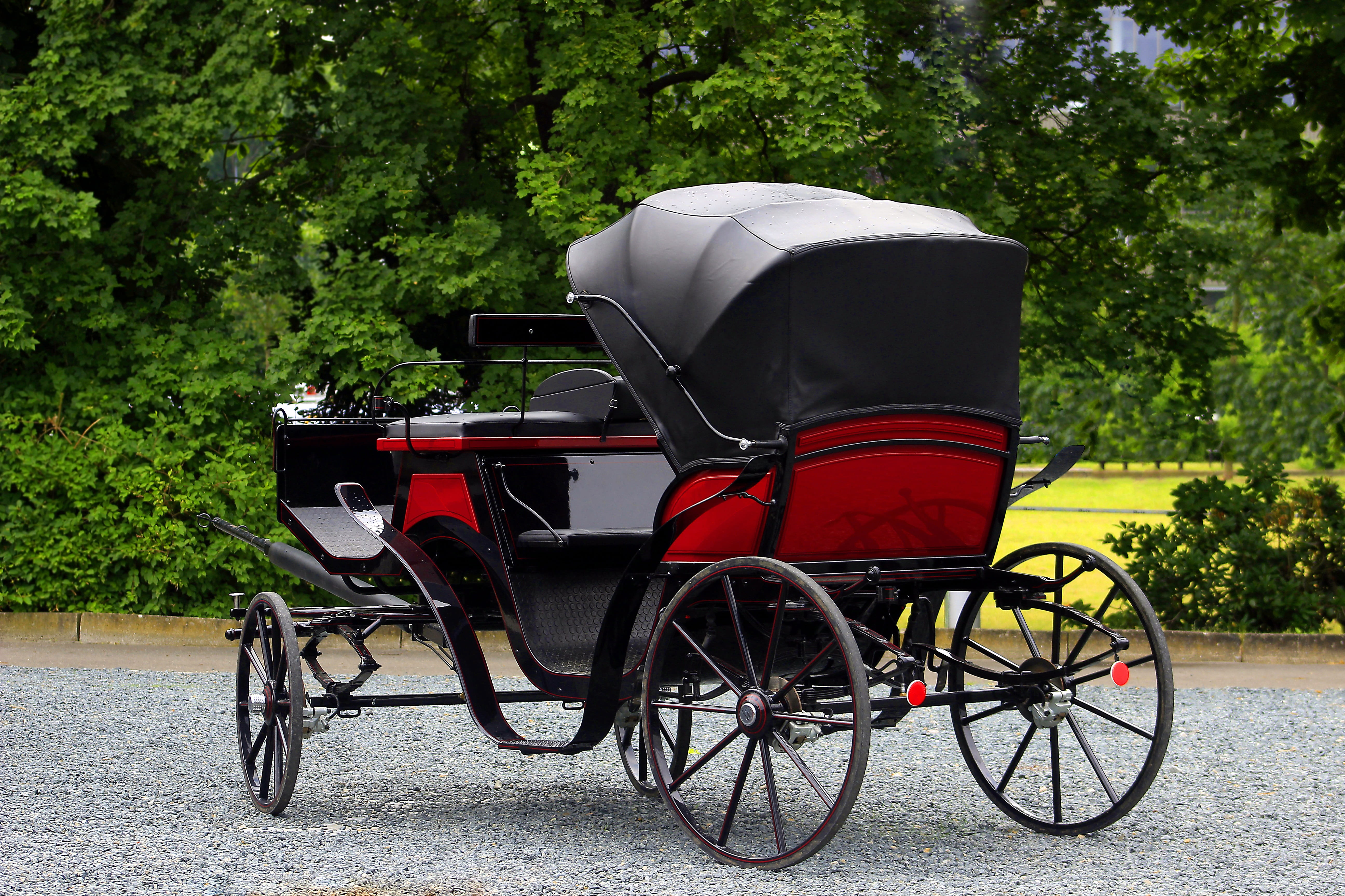 nature, carriage, no people, wheel, the coach, retro, land vehicle, white, old, ride, red, auto, nobody, park, trainer, day, mode of transportation, 5K, HD Wallpaper