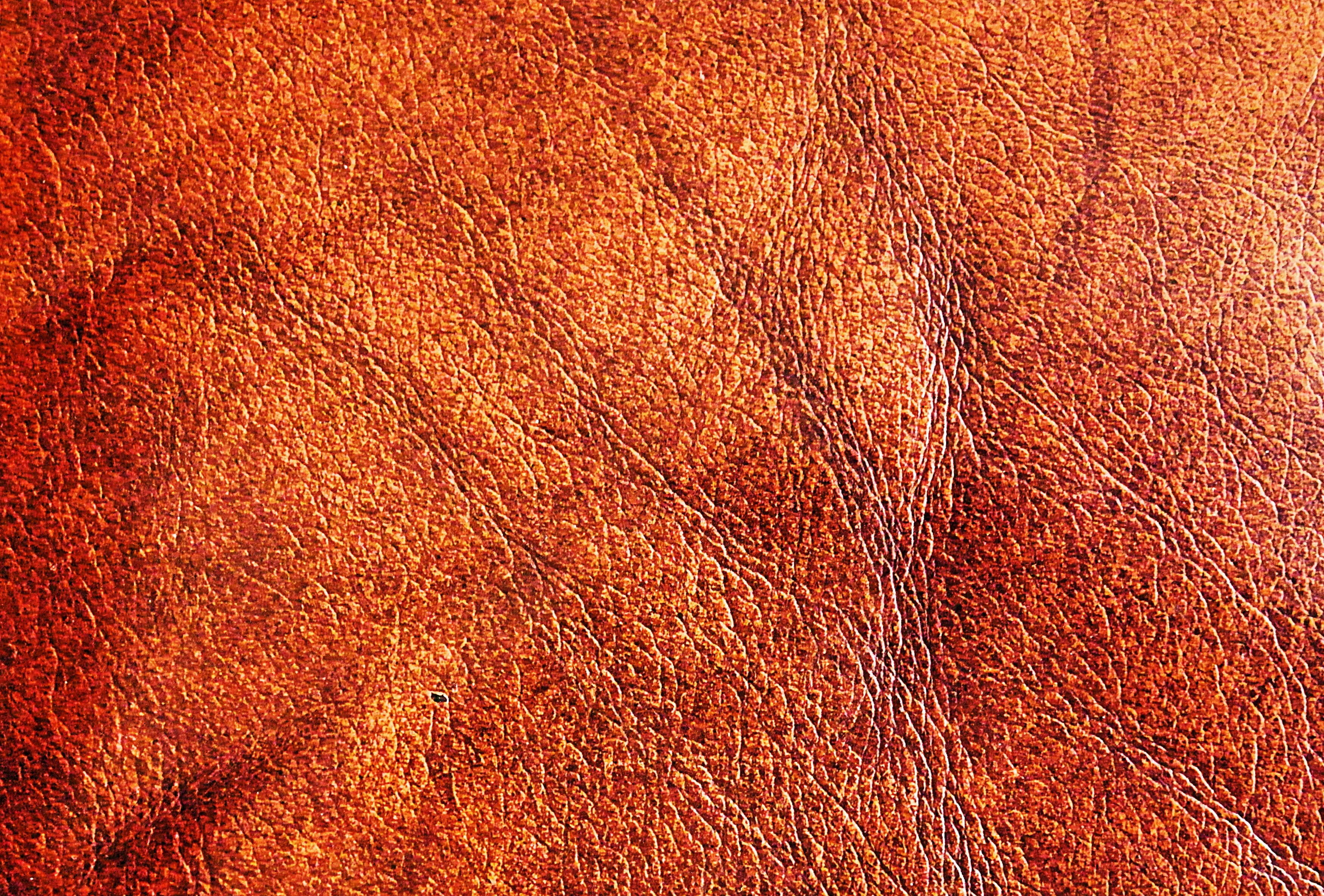 textile, full frame, art, day, deterioration, red, orange color, no people, canvas, skin, tar, fur, close-up, agelaius, weathered, rug, bull, wildlife, HD Wallpaper