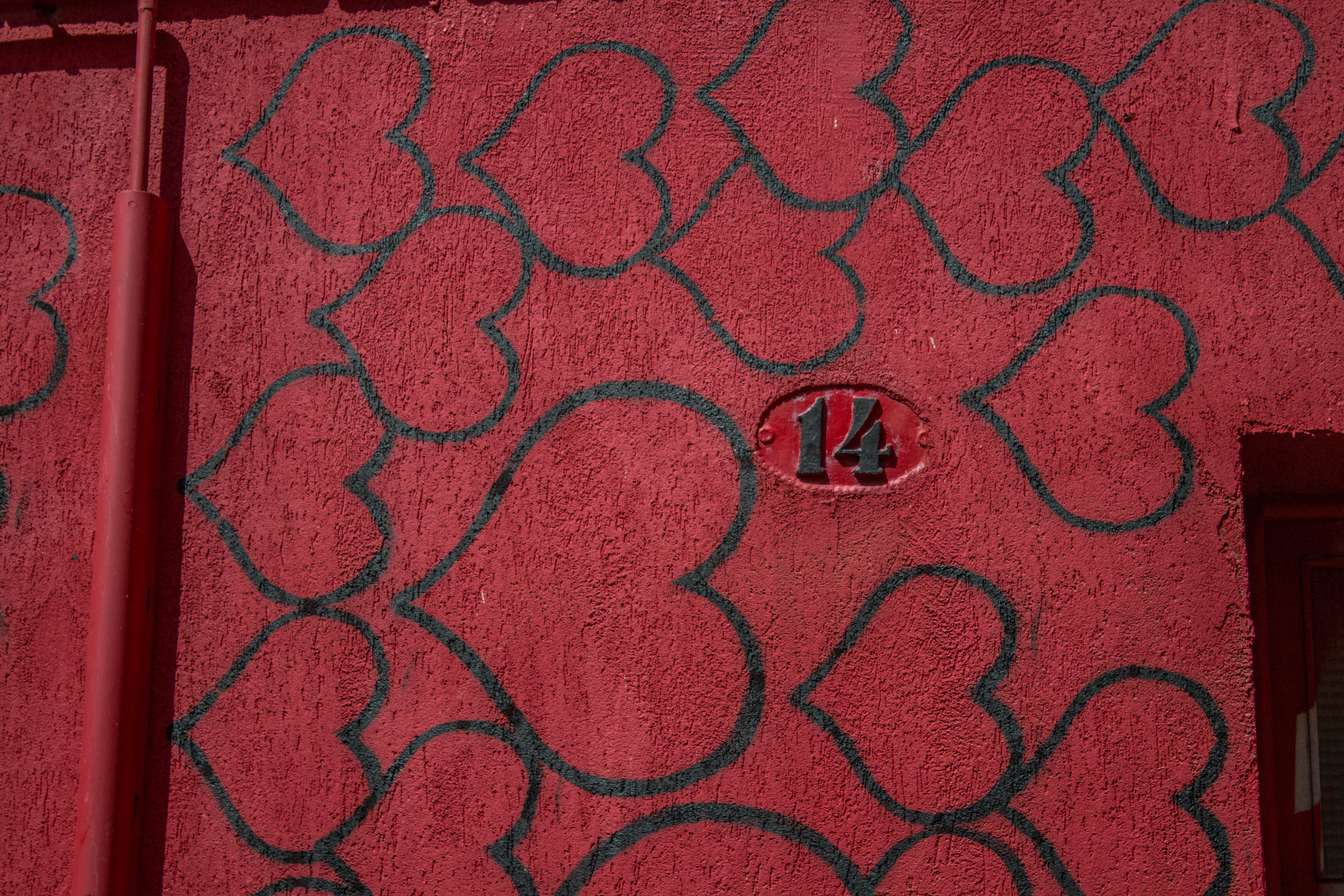 backgrounds, pattern, shape, ornament, red carpet premiere, quilt, creativity, nature, green color, outdoors, close-up, day, wool, applique, red carpet, HD Wallpaper