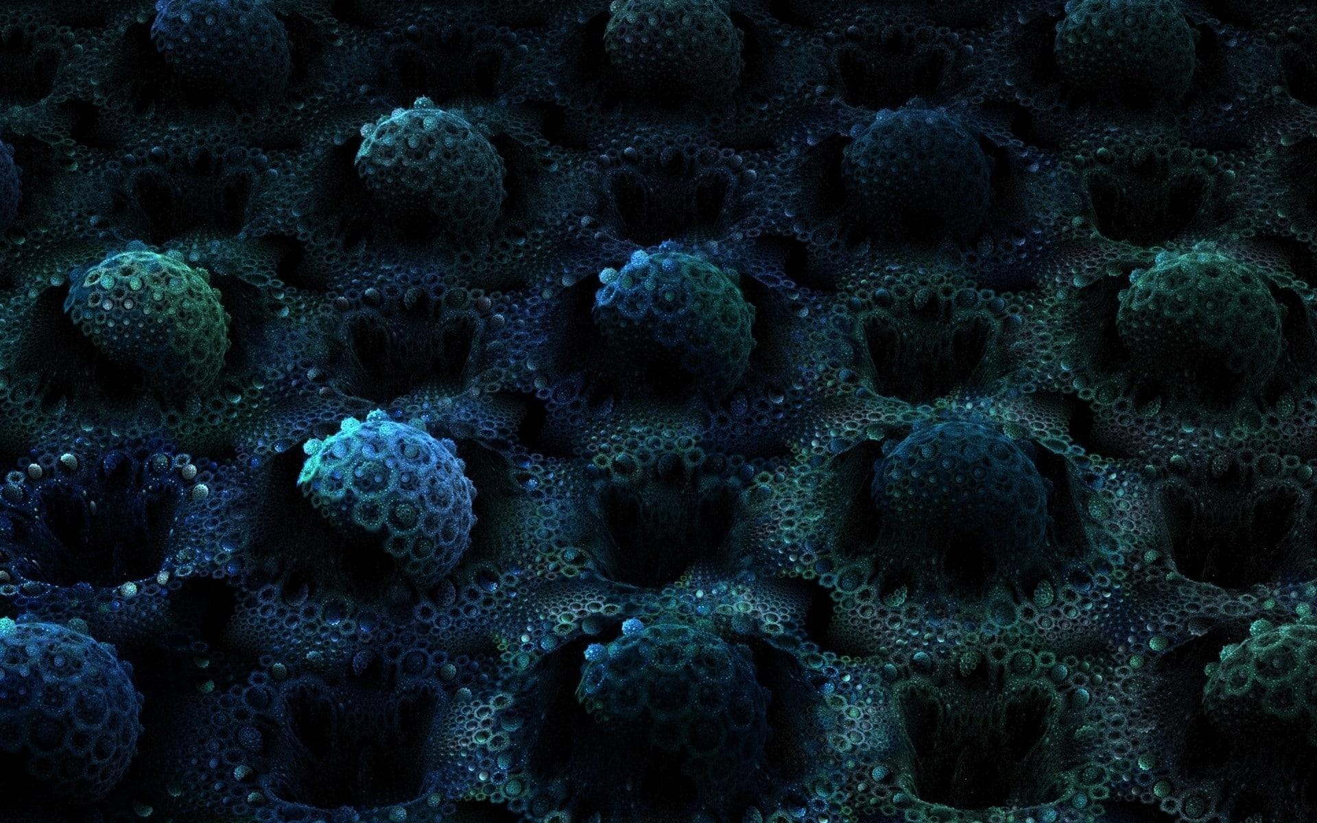 beauty in nature, magnification, Ocean, food, 1080P, undersea, full frame, biology, animal, Bottom, backgrounds, Dark, no people, Surface, bacterium, water, HD Wallpaper