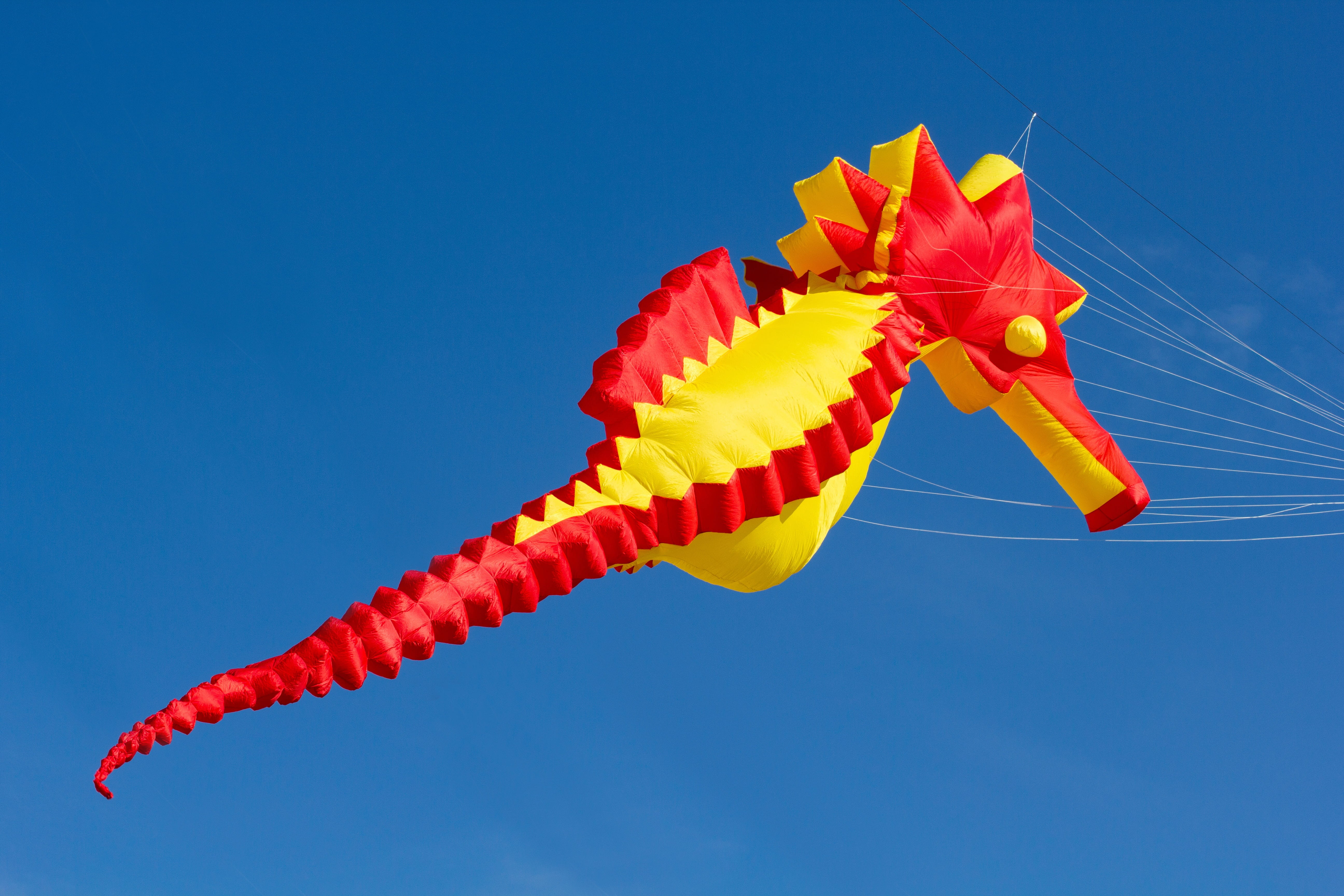 rise, dragon festival, color, colored background, dragon fly, day, thermals, leisure, red, windy, upgrade, dragon rising, low angle view, dragons, no people, HD Wallpaper