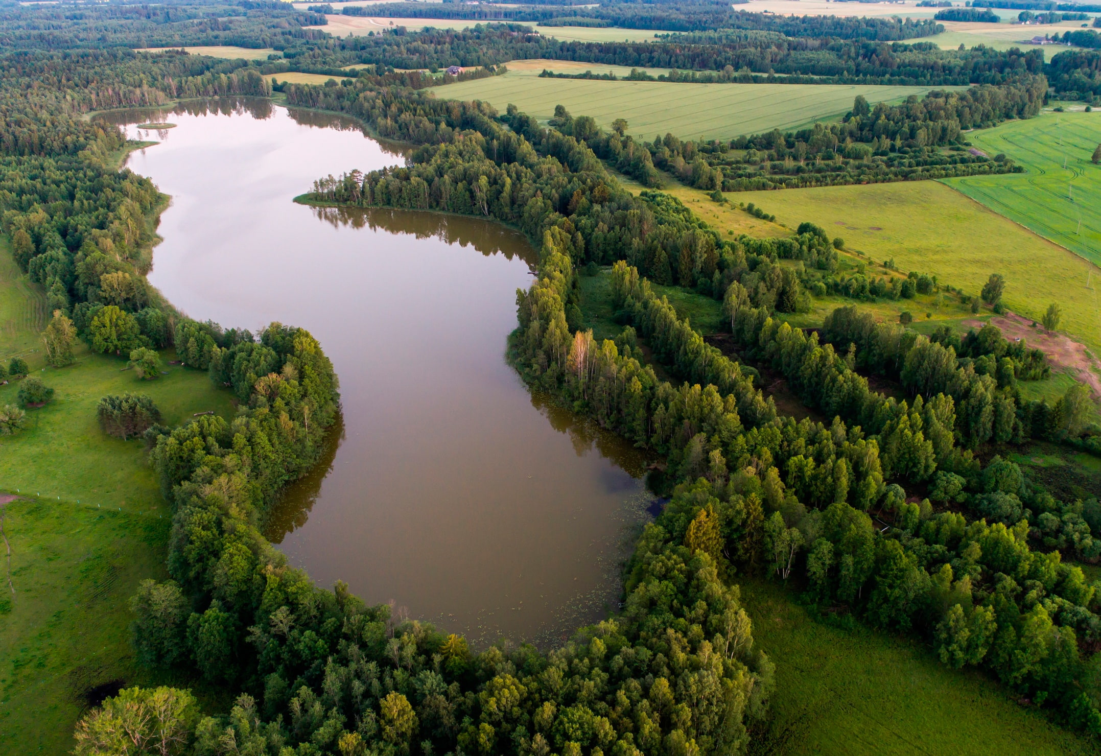 trees, field, the view from the top, forest, lake, Your Main Room, 1080P, Estonia, HD Wallpaper