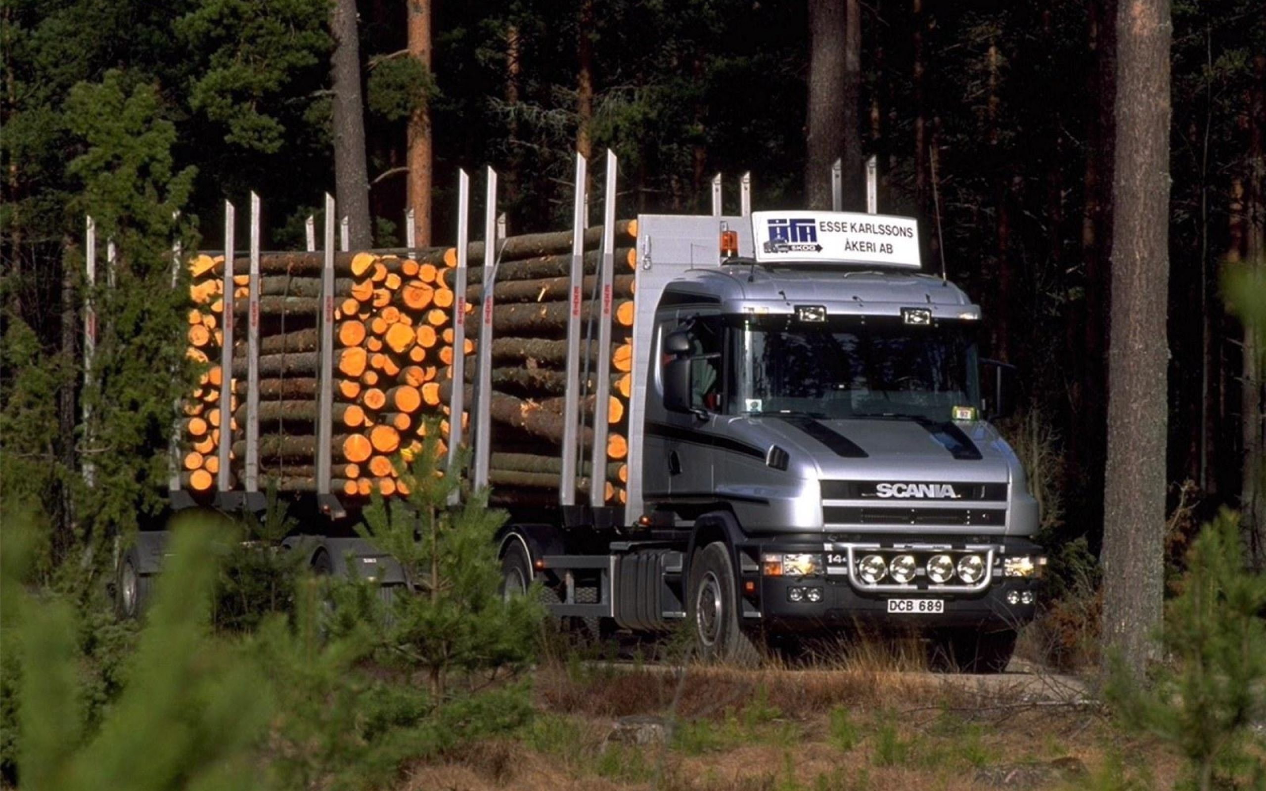 scania, trucks, 2K, trees, logs, HD Wallpaper