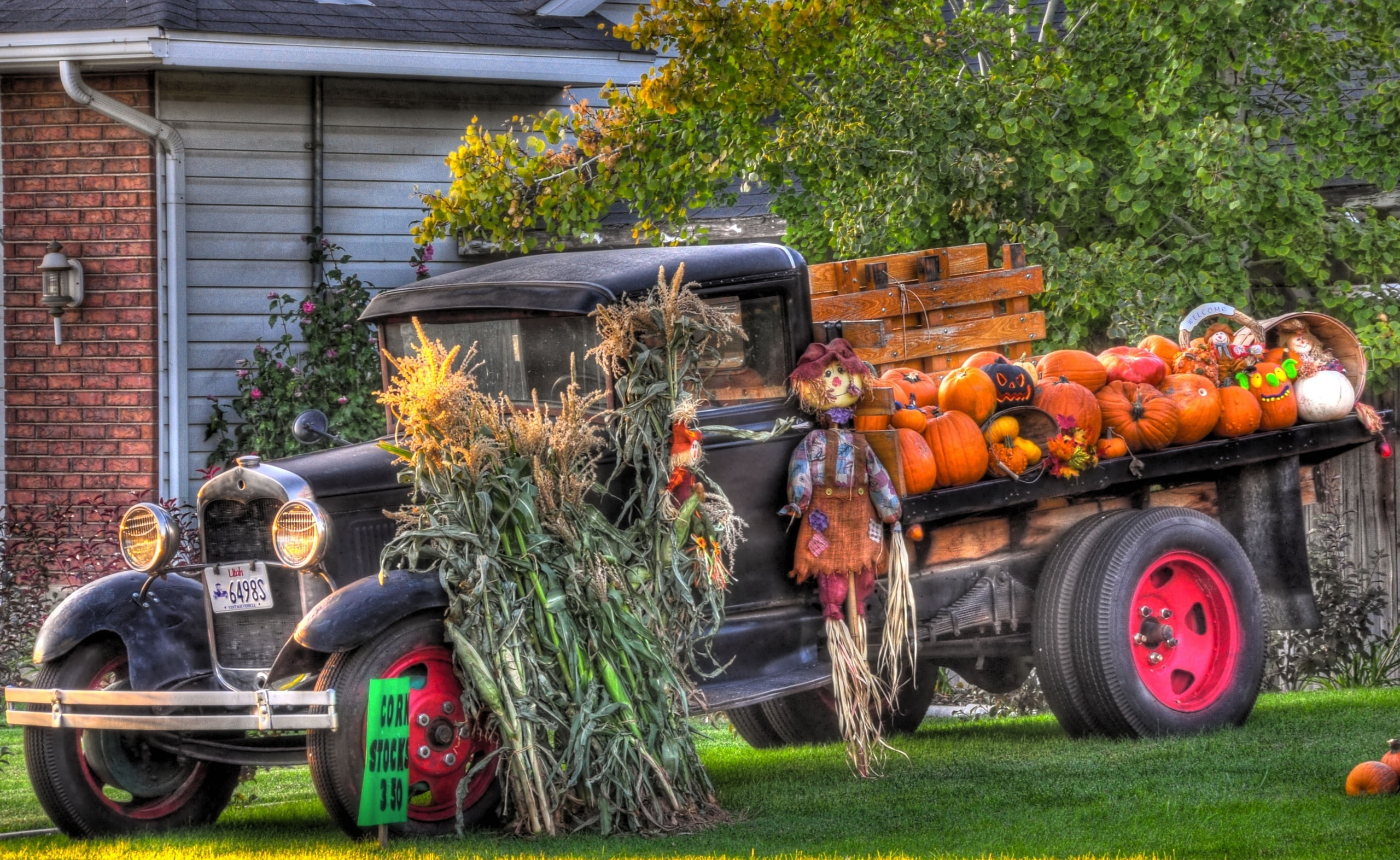 tire, Autumn, growth, grass, tractor, no people, built structure, Seasons, tree, front or back yard, plant, building exterior, architecture, outdoors, land vehicle, HD Wallpaper
