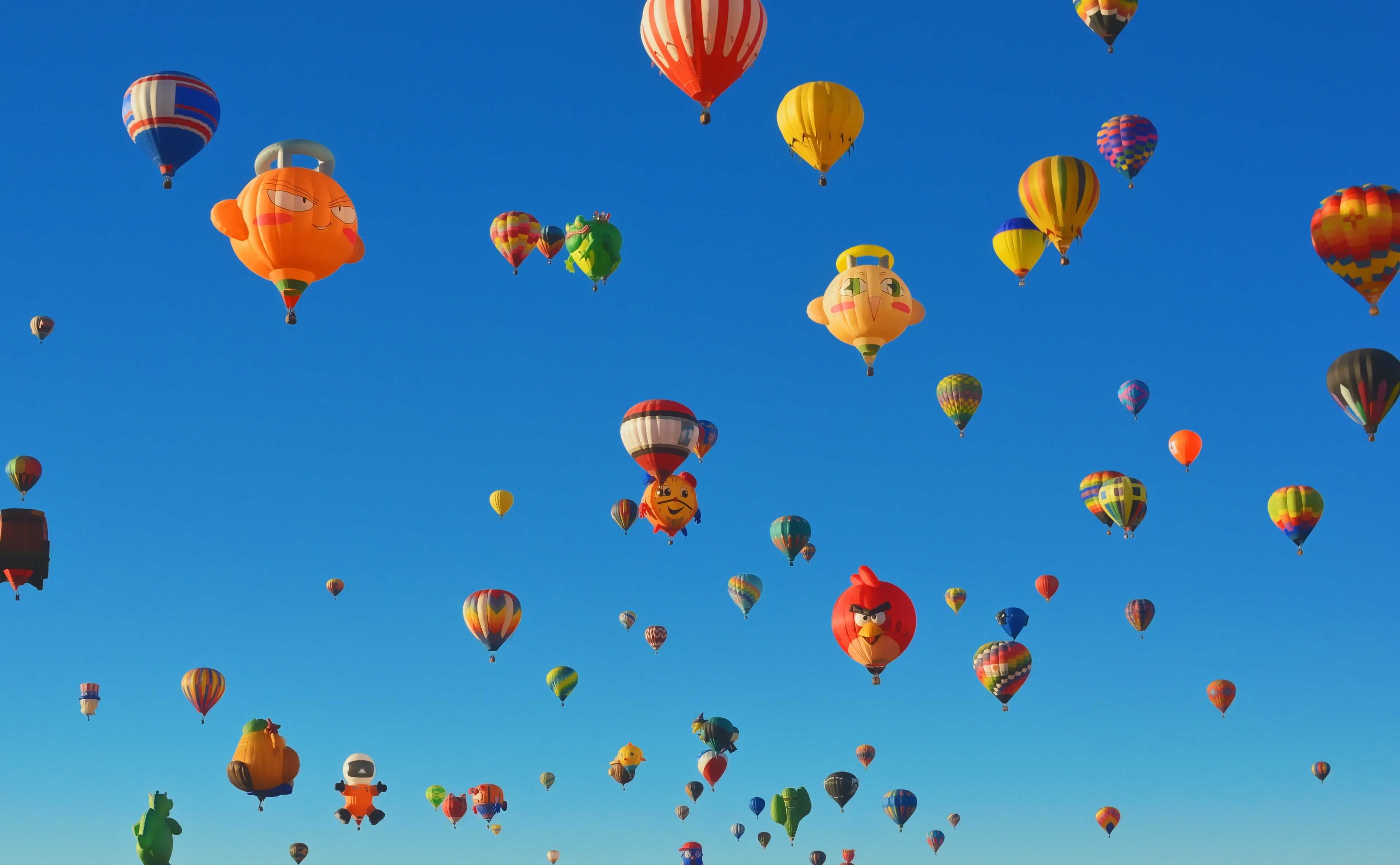 day, 4K, air vehicle, low angle view, no people, outdoors, United States, motion, assorted, fiesta, lot, international, sigma30mmf14exdchsm, animal, balloon, HD Wallpaper