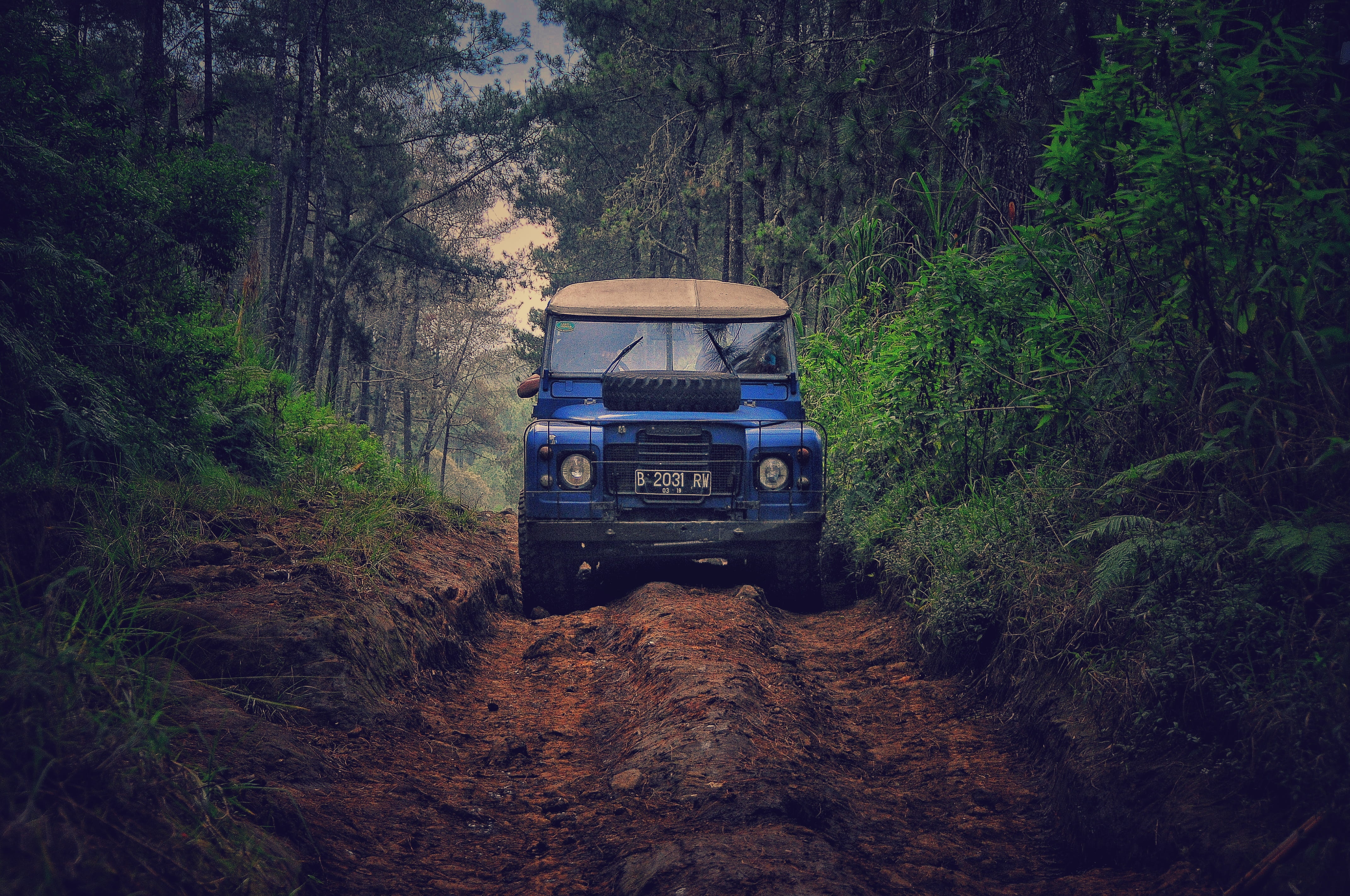 day, dirt, trees, truck, mode of transportation, travel, non-urban scene, land, road, motor vehicle, forest, nature, adventure, car, tree, vehicle, leaf, HD Wallpaper