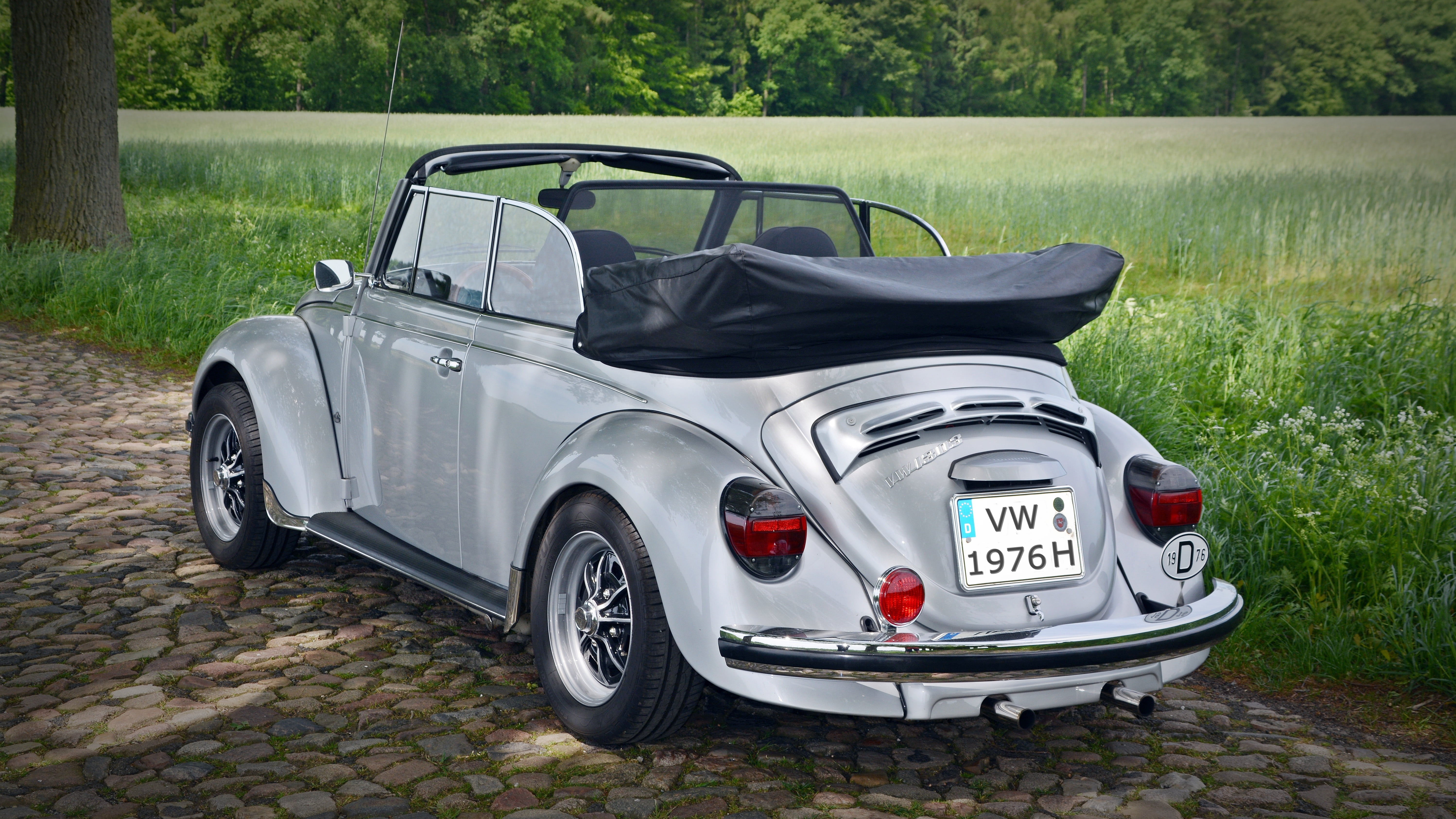 land, tree, daytime, non-urban scene, sport, silver, no people, mode of transportation, convertible, classic, stationary, transportation, car, grass, beetle, HD Wallpaper